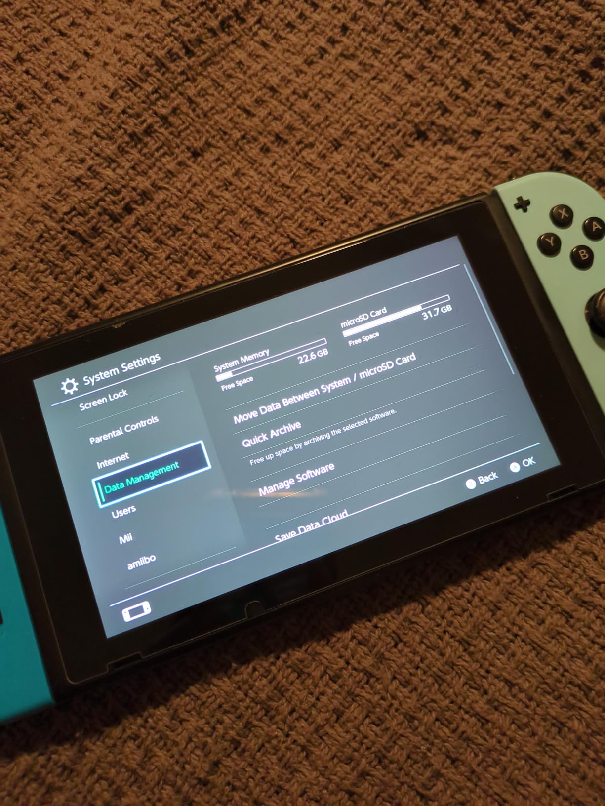 SanDisk 256GB microSDXC-Card, Licensed for Nintendo-Switch - SDSQXAO-256G-GNCZN Customer Review SanDisk 256GB microSDXC-Card, Licensed for Nintendo-Switch - SDSQXAO-256G-GNCZN - Customer Photo 2