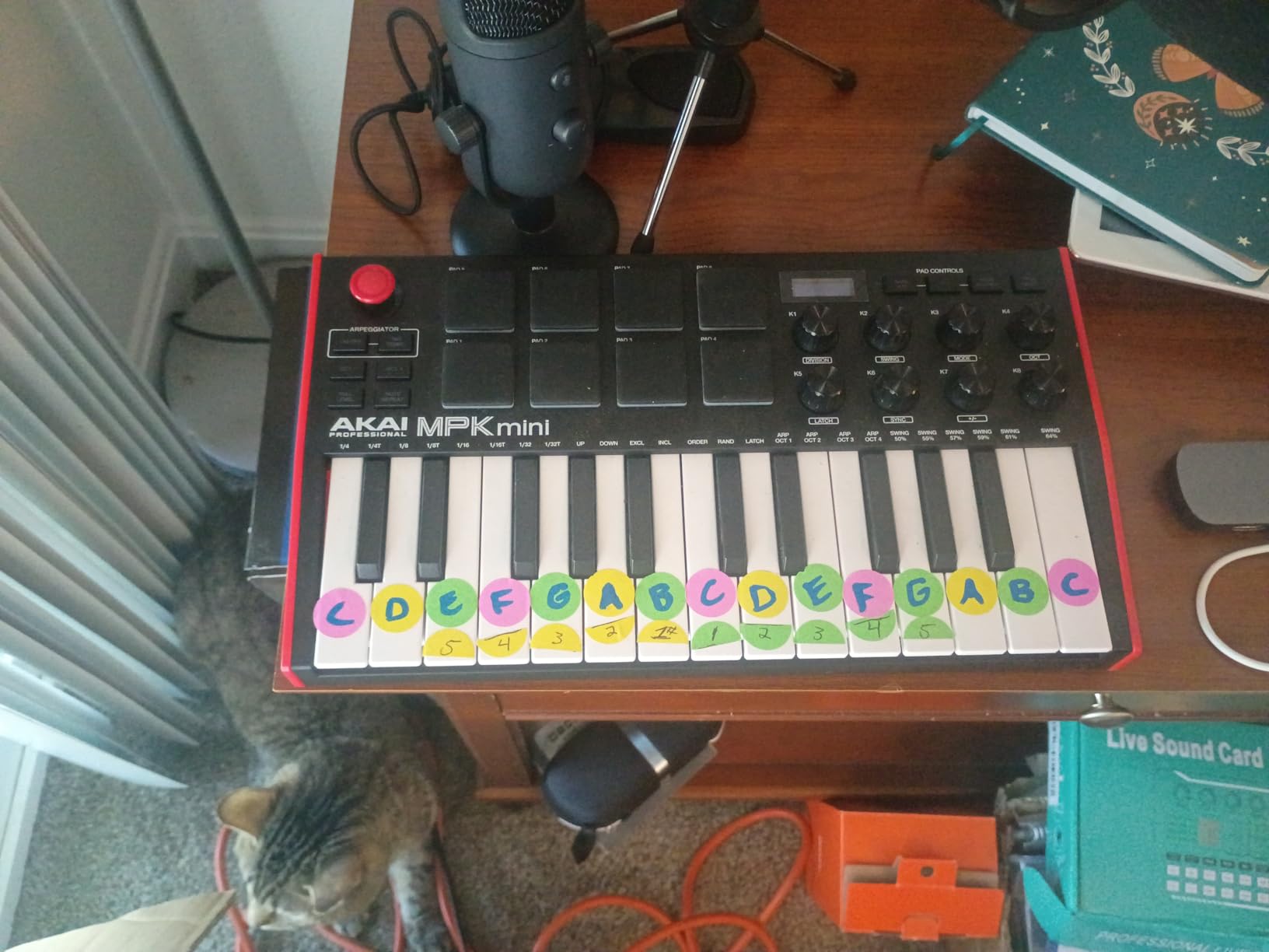 Akai Professional MPK Mini MK3 - 25 Key USB MIDI Keyboard Controller With 8 Backlit Drum Pads, 8 Knobs, Music Production Software and Native Instruments Sound Package (NKS Integration) - Customer Photo 1