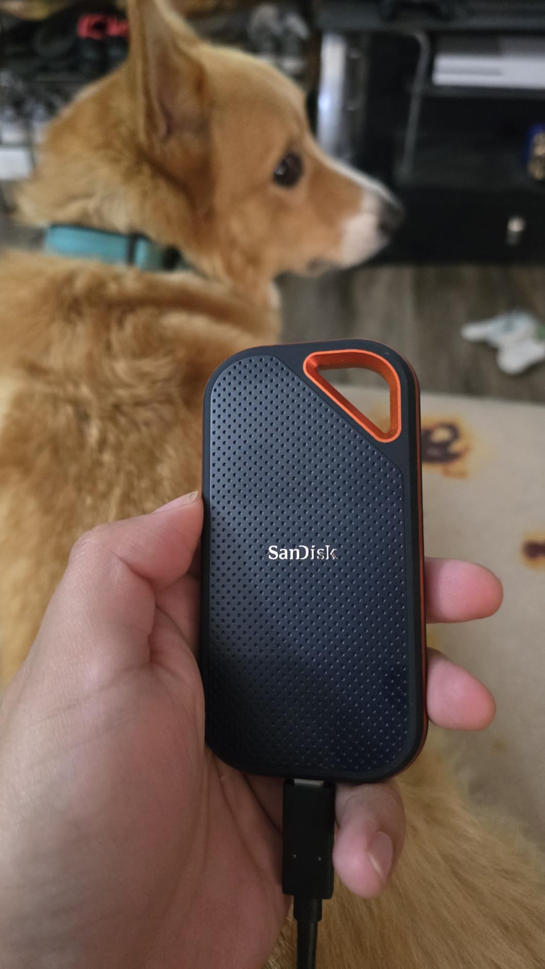 SANDISK 1TB Extreme PRO Portable SSD - Up to 2000MB/s - USB-C, USB 3.2 Gen 2x2, IP65 Water and Dust Resistance, Updated Firmware - External Solid State Drive - SDSSDE81-1T00-G25 customer photo 1