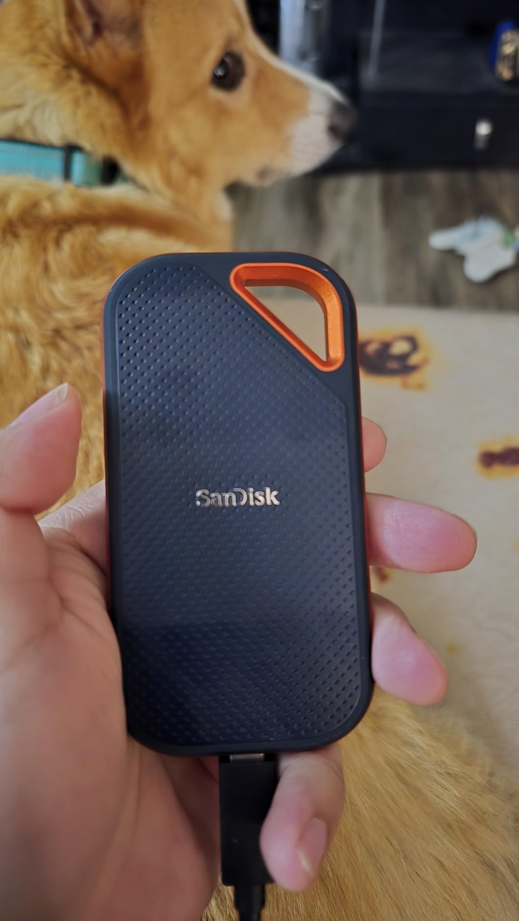 SANDISK 1TB Extreme PRO Portable SSD - Up to 2000MB/s - USB-C, USB 3.2 Gen 2x2, IP65 Water and Dust Resistance, Updated Firmware - External Solid State Drive - SDSSDE81-1T00-G25 customer photo 2