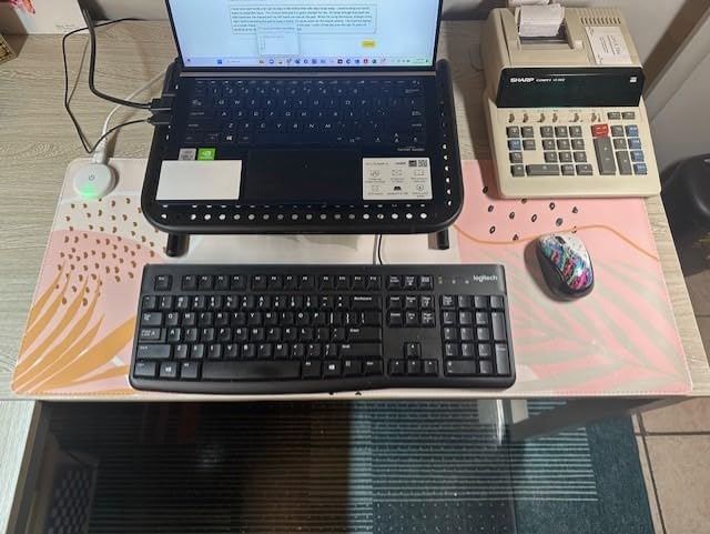 iCasso Heated Desk Pad,Heated Mouse Pad Hand Warmer, XXL Mousepad, Desk Protector Mat with 4 Heating Levels for Computer Keyboard, 35.4