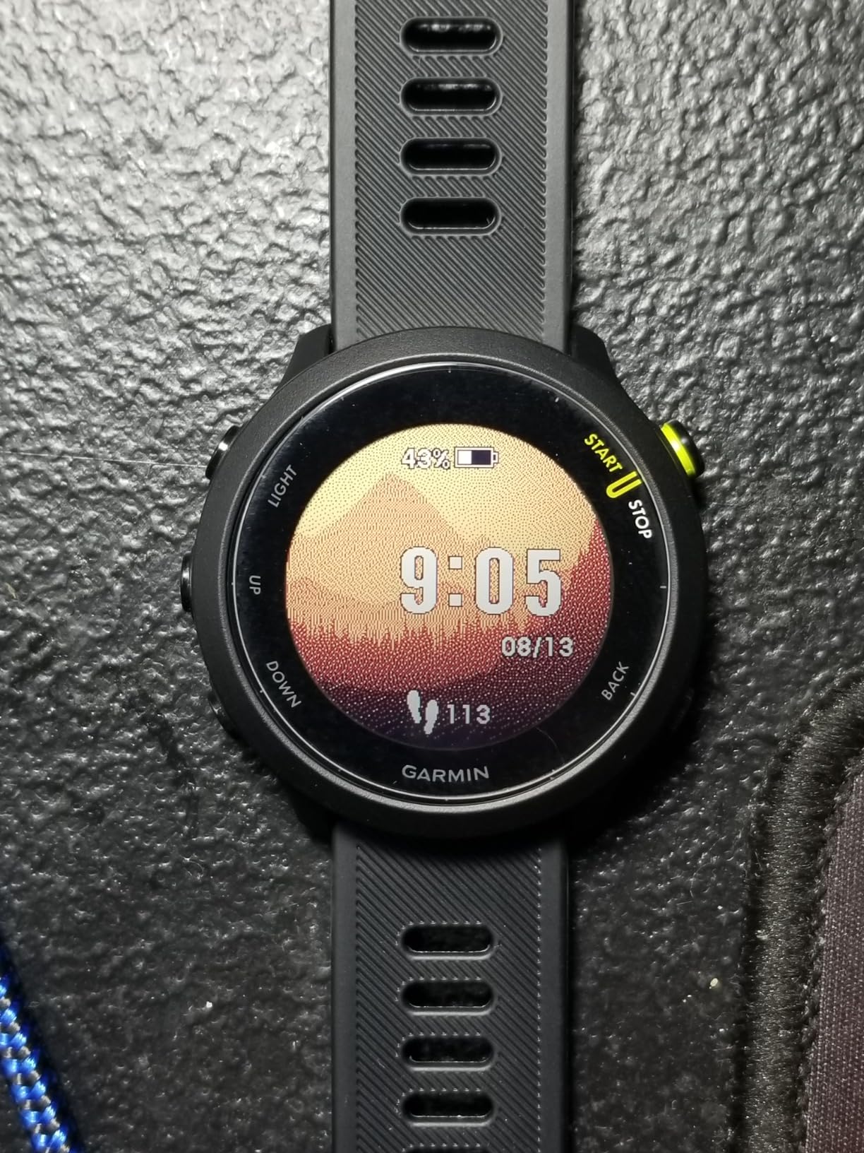 Garmin Forerunner 55, GPS Running Watch with Daily Suggested Workouts, Up to 2 Weeks of Battery Life, Aqua - Customer Photo 2