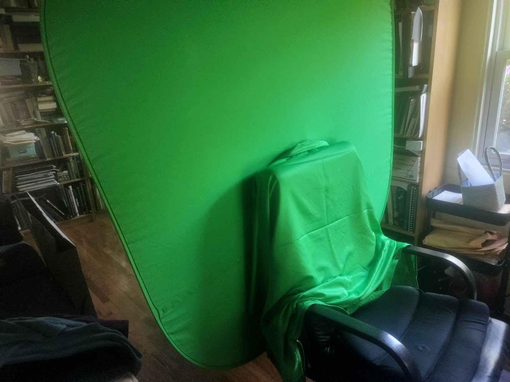 Portable Green Screen Chair, 59 in Greenscreen Backdrop with Stand Double Sided Foldable Green Background, Chroma Key, for Video Chats and Meetings, Photography, Photo Zoom, Streaming Games - Customer Photo 1
