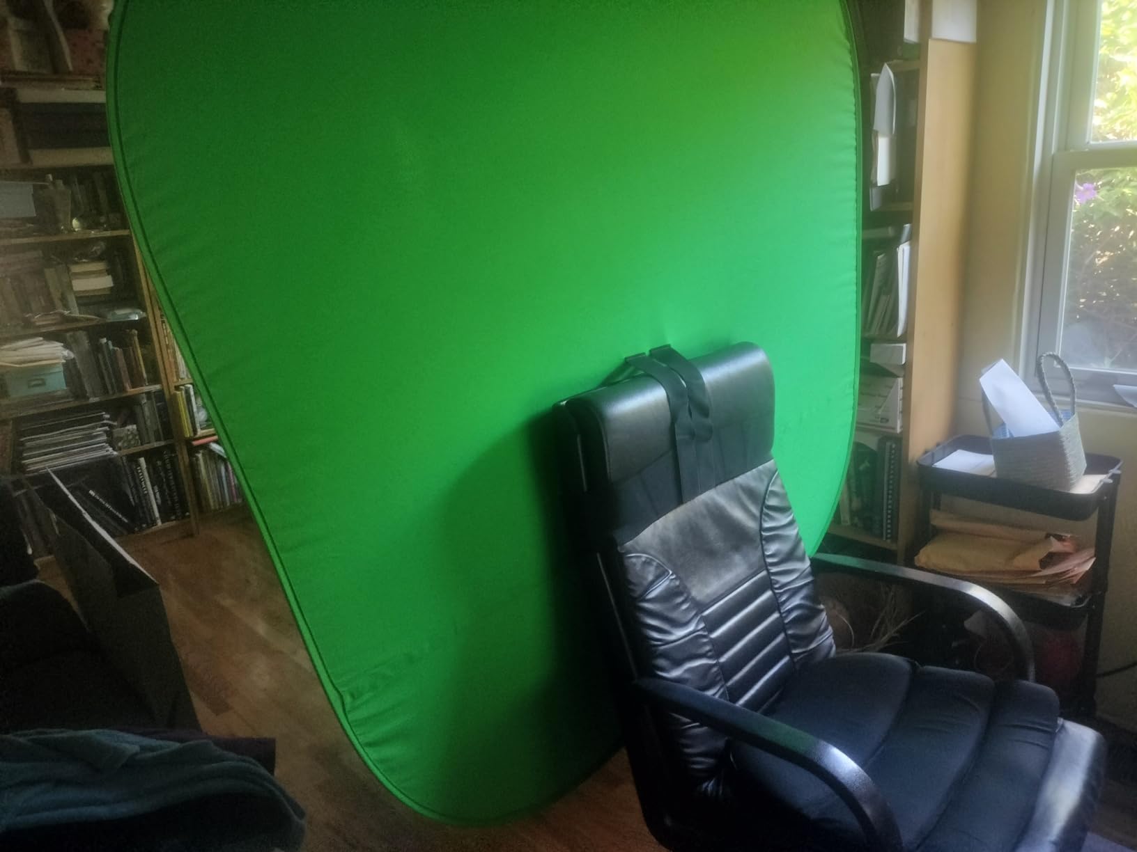 Portable Green Screen Chair, 59 in Greenscreen Backdrop with Stand Double Sided Foldable Green Background, Chroma Key, for Video Chats and Meetings, Photography, Photo Zoom, Streaming Games - Customer Photo 2