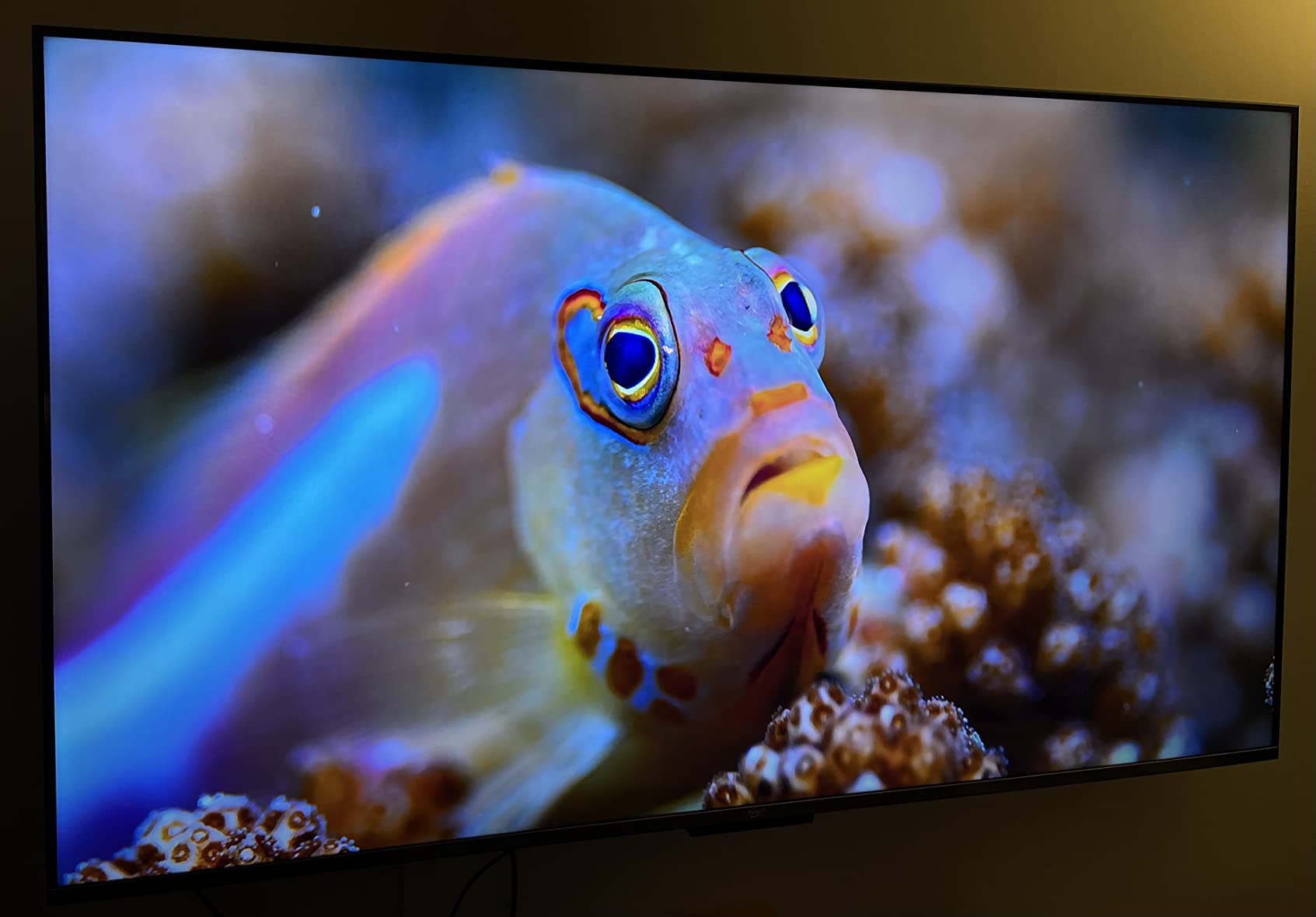 Amazon Fire TV 50