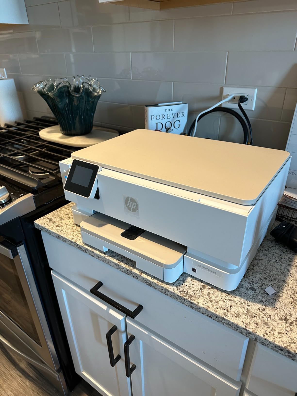 HP Envy Inspire 7255e Wireless Color Inkjet Printer, Print, scan, copy, Easy setup, Mobile printing, Best-for-home, 3 month Instant Ink trial included, AI-enabled - Customer Photo 1