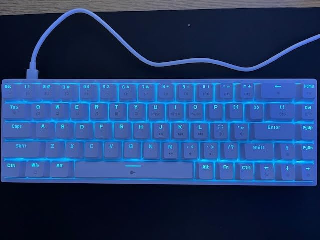 DIERYA T68SE 60% Gaming Mechanical Keyboard,Ultra Compact Mini 68 Key with Blue Switches Wired Keyboard,Anti-Ghosting Keys, for Windows Laptops and PC Gamers,White - Customer Photo 1