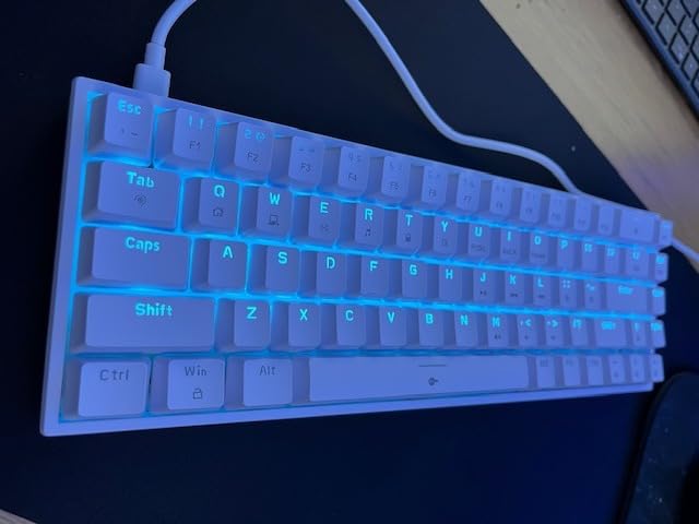 DIERYA T68SE 60% Gaming Mechanical Keyboard,Ultra Compact Mini 68 Key with Blue Switches Wired Keyboard,Anti-Ghosting Keys, for Windows Laptops and PC Gamers,White - Customer Photo 2