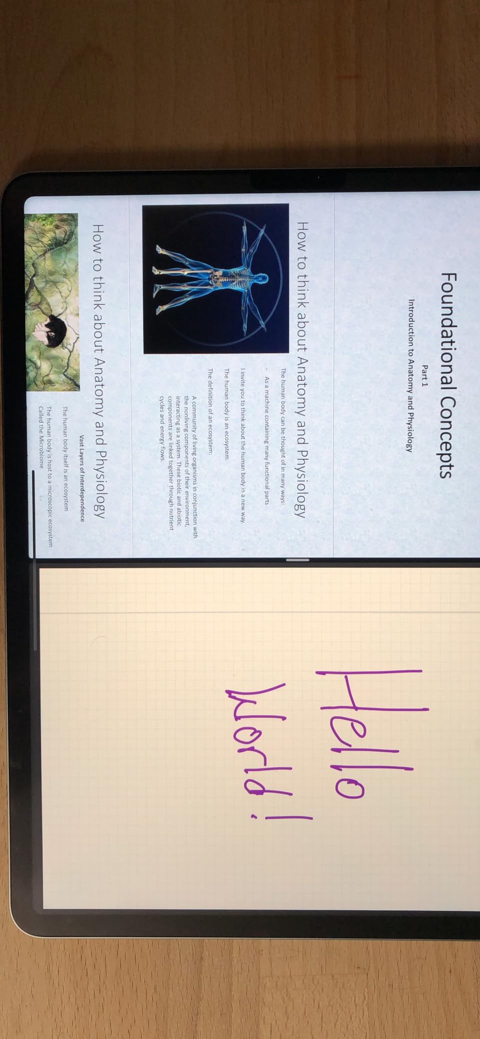 Apple iPad Pro 12.9-inch (6th Generation): with M2 chip, Liquid Retina XDR Display, 128GB, Wi-Fi 6E, 12MP front/12MP and 10MP Back Cameras, Face ID, All-Day Battery Life – Space Gray - Customer Photo 1