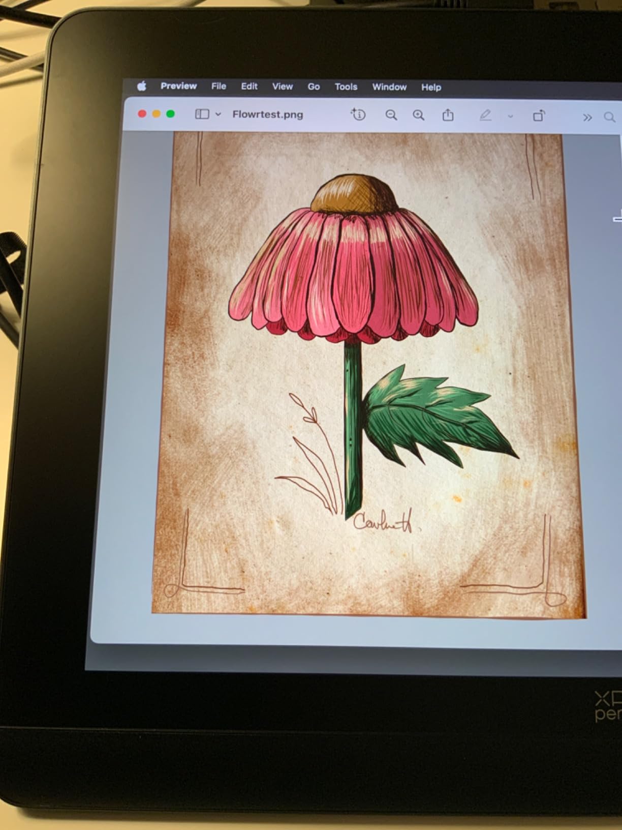XPPen Artist Pro 14 Gen2 Drawing Tablet with Screen 14 inch Graphic Art Tablet with Full Laminated Anti-Glare Screen 16384 Pressure Levels X3 Pro Battery-Free Stylus 123% sRGB Tilt Stand Mini Keydial - Customer Photo 1
