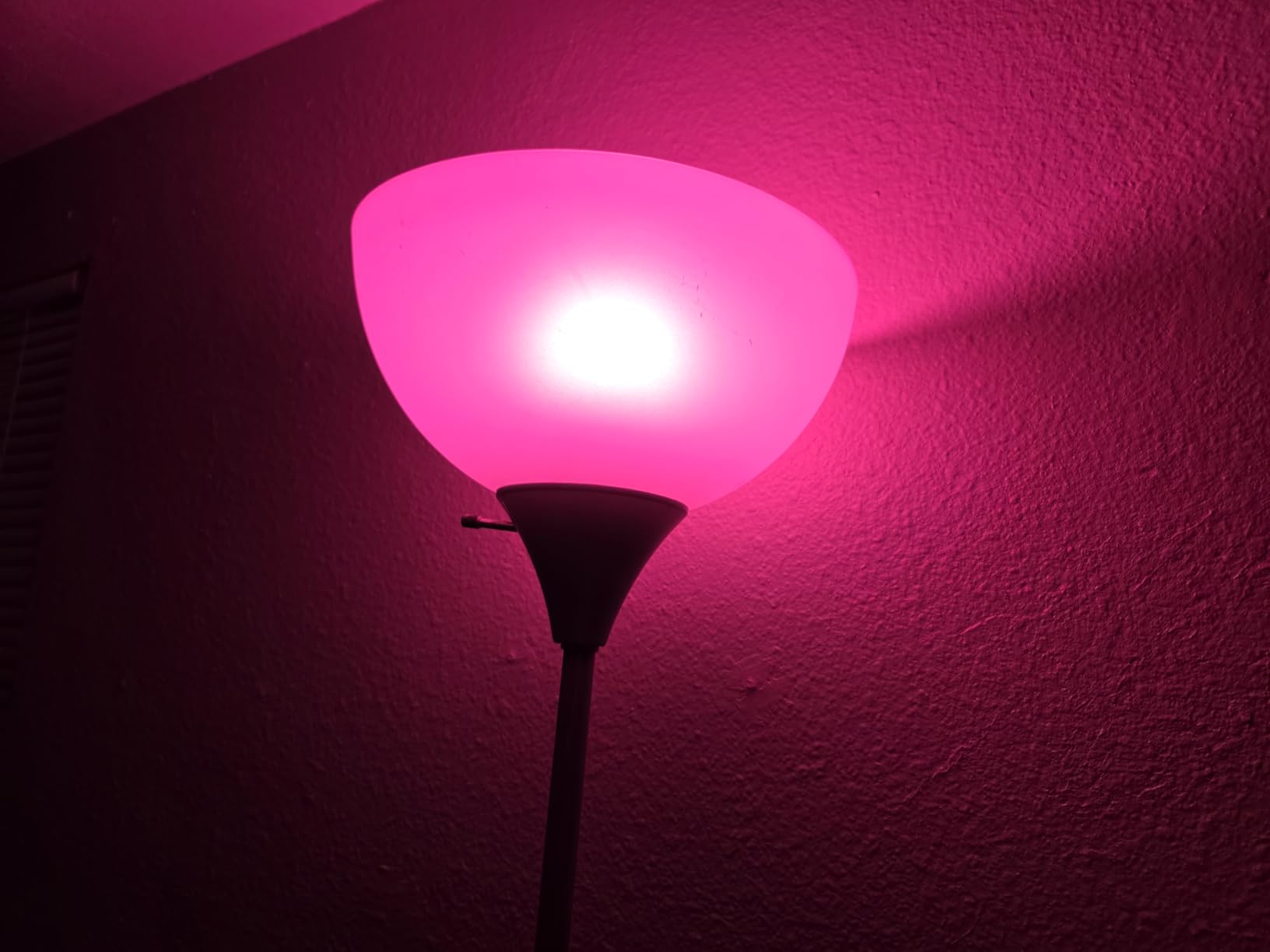 Govee LED Smart Light Bulbs, 1000LM Color Changing Light Bulb, Wi-Fi & Bluetooth Light Bulbs, Work with Alexa and Google Assistant, Dimmable RGBWW A19 75W Equivalent Smart Bulbs, 2 Pack Customer Review Govee LED Smart Light Bulbs, 1000LM Color Changing Light Bulb, Wi-Fi & Bluetooth Light Bulbs, Work with Alexa and Google Assistant, Dimmable RGBWW A19 75W Equivalent Smart Bulbs, 2 Pack - Customer Photo 1