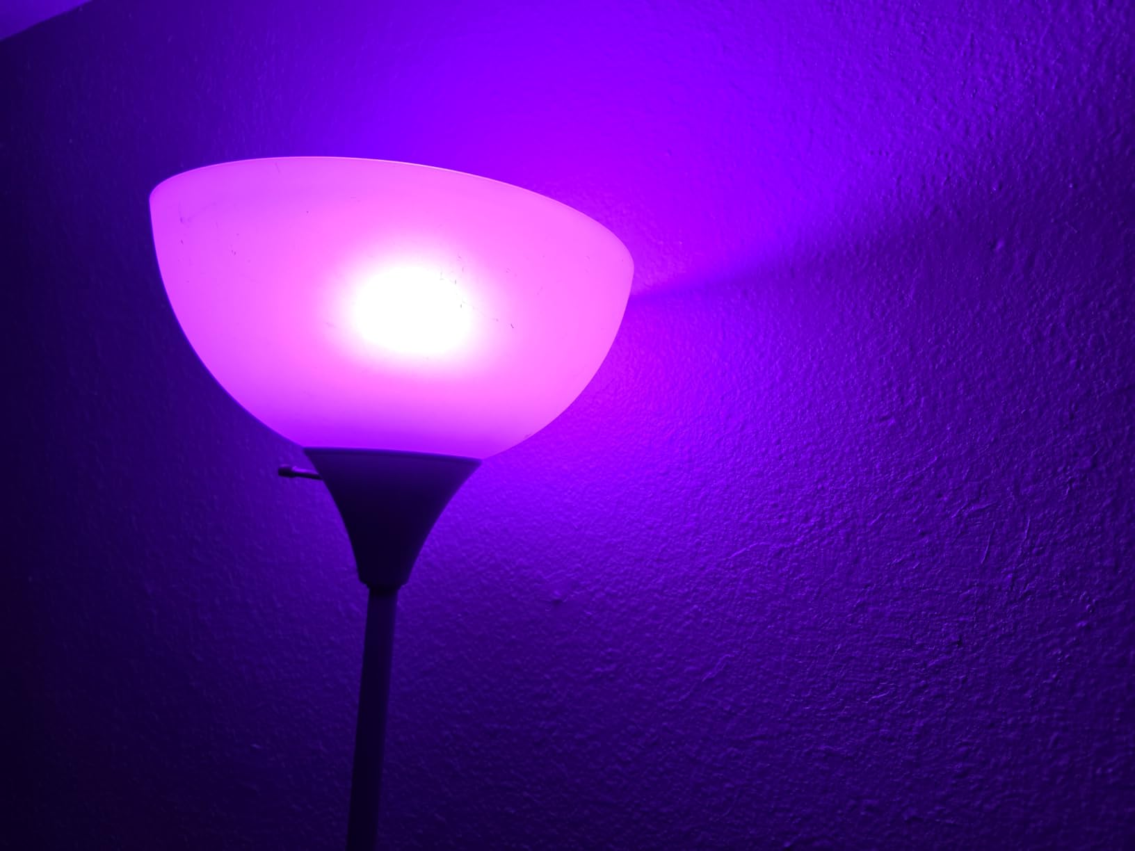 Govee LED Smart Light Bulbs, 1000LM Color Changing Light Bulb, Wi-Fi & Bluetooth Light Bulbs, Work with Alexa and Google Assistant, Dimmable RGBWW A19 75W Equivalent Smart Bulbs, 2 Pack Customer Review Govee LED Smart Light Bulbs, 1000LM Color Changing Light Bulb, Wi-Fi & Bluetooth Light Bulbs, Work with Alexa and Google Assistant, Dimmable RGBWW A19 75W Equivalent Smart Bulbs, 2 Pack - Customer Photo 2