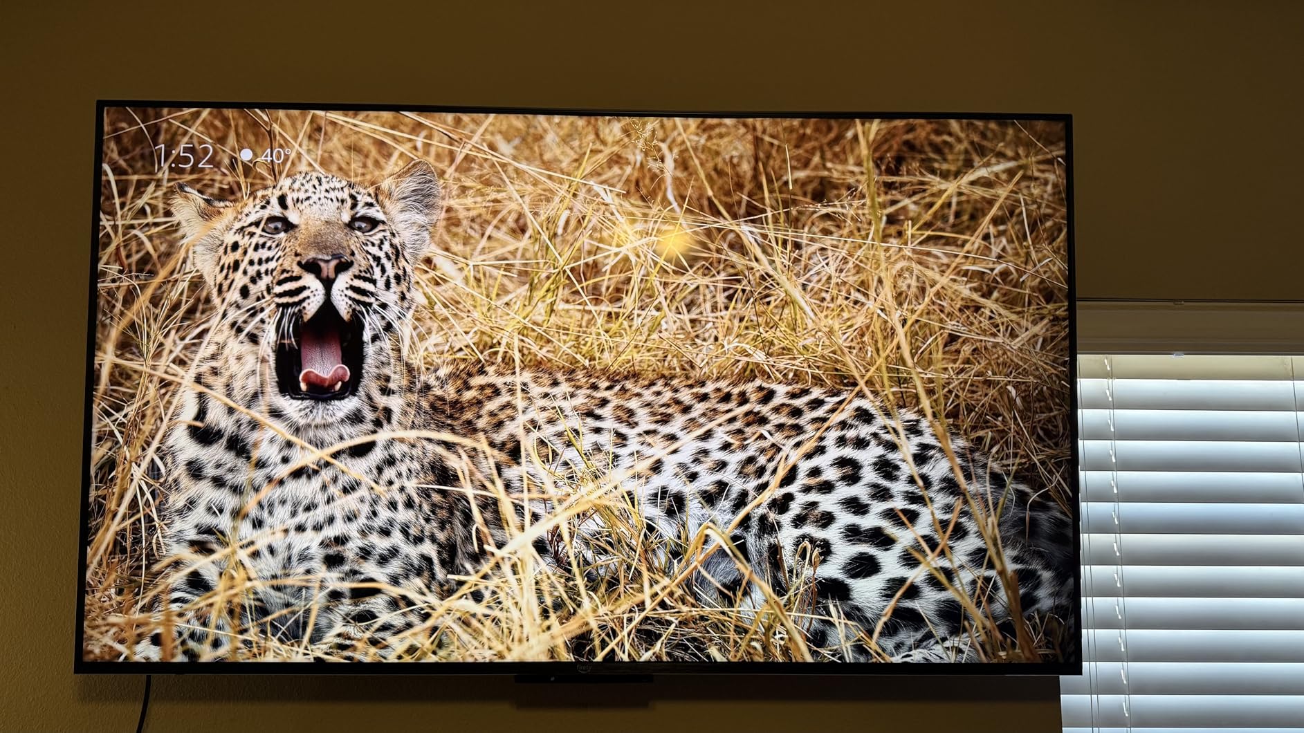 Amazon Fire TV 55 Amazon Fire TV 55