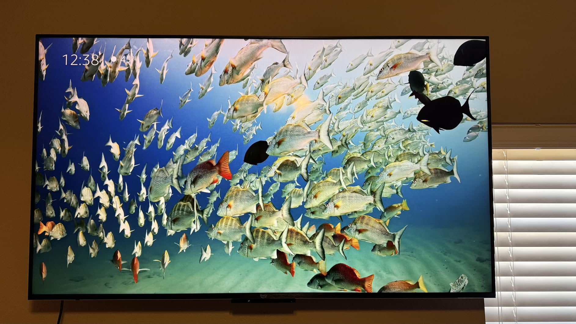 Amazon Fire TV 55