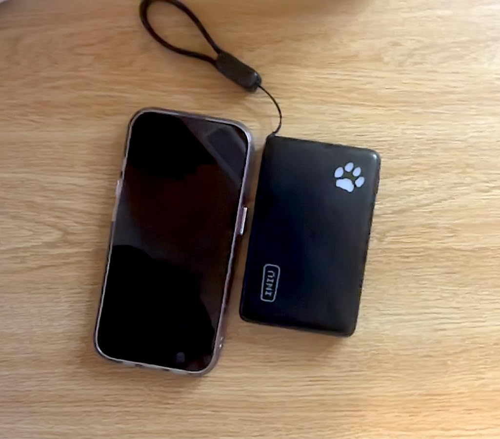 INIU 45W Fast Charging Portable Charger, 40% Smaller 10000mAh with Detachable Cable, Flight-Safe Travel Power Bank, USB C External Phone Battery Pack customer photo 1