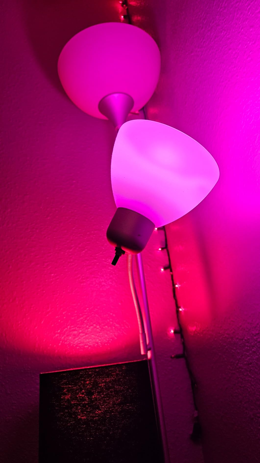 "Lightinginside