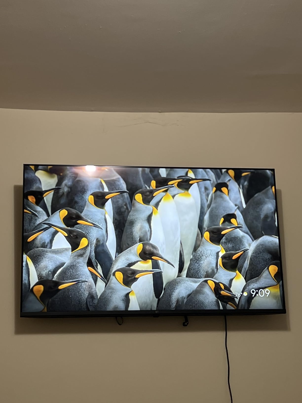 FPD 55-inch Smart TV Google TV 4K UHD with Google Play and Google Cast Built-in, HDR 10, Dolby Vision Dolby Atmos, MEMC, Voice Remote, Stream Live TV(Canvas-Series, CG55-C1, 2024 Model) Customer Review FPD 55-inch Smart TV Google TV 4K UHD with Google Play and Google Cast Built-in, HDR 10, Dolby Vision Dolby Atmos, MEMC, Voice Remote, Stream Live TV(Canvas-Series, CG55-C1, 2024 Model) - Customer Photo 2