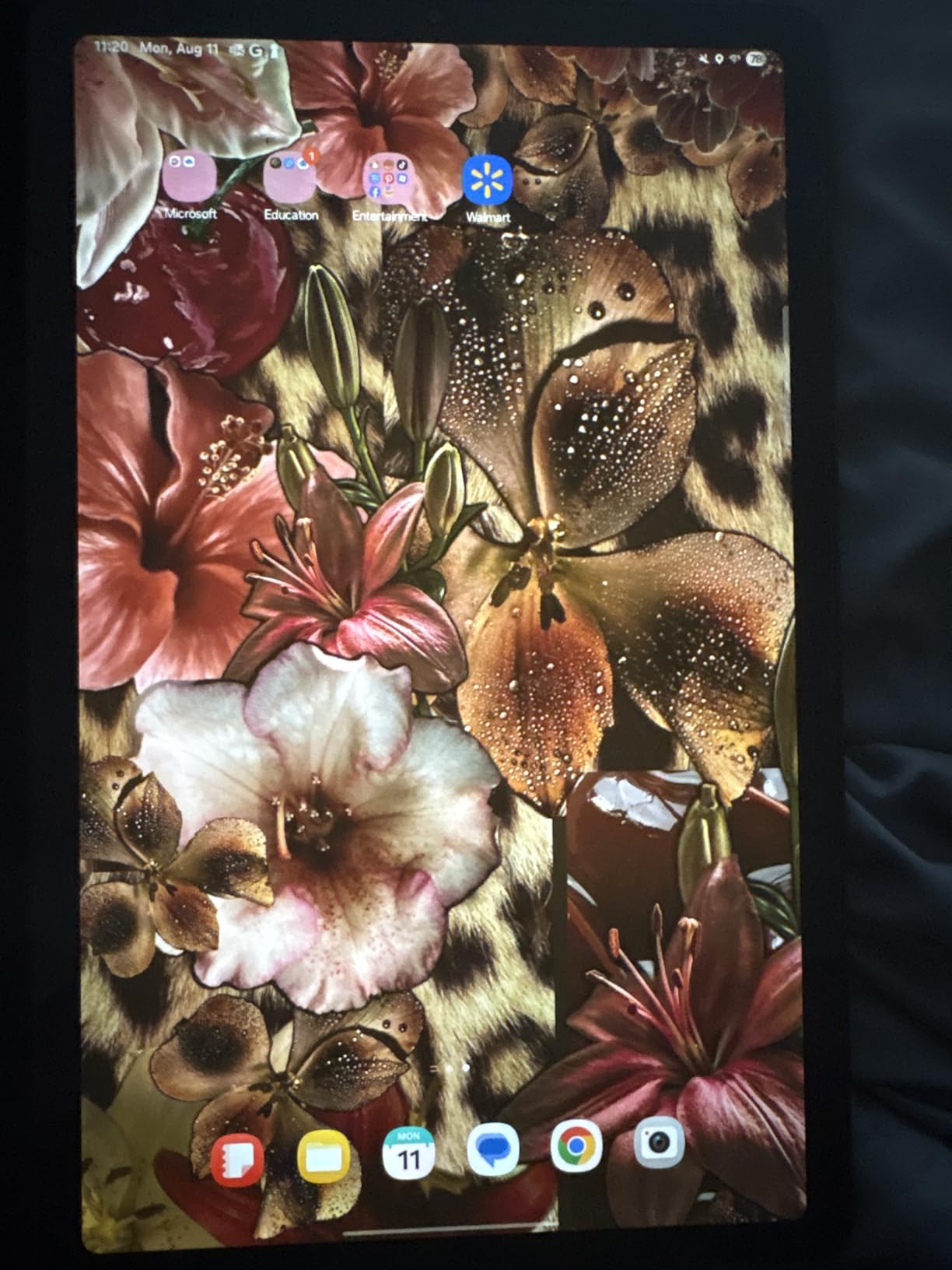 Samsung Galaxy Tab S6 Lite (2024) 10.4