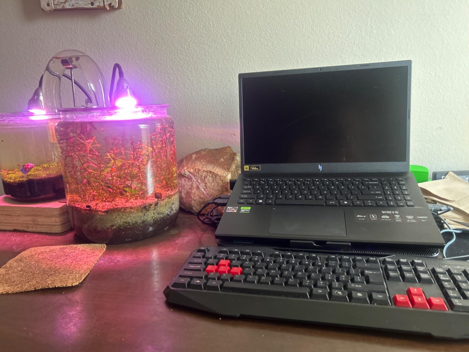 acer Nitro V Gaming Laptop | AMD Ryzen 5 7535HS Hexa-Core Processor | NVIDIA GeForce RTX 4050 Laptop GPU | 15.6 acer Nitro V Gaming Laptop | AMD Ryzen 5 7535HS Hexa-Core Processor | NVIDIA GeForce RTX 4050 Laptop GPU | 15.6