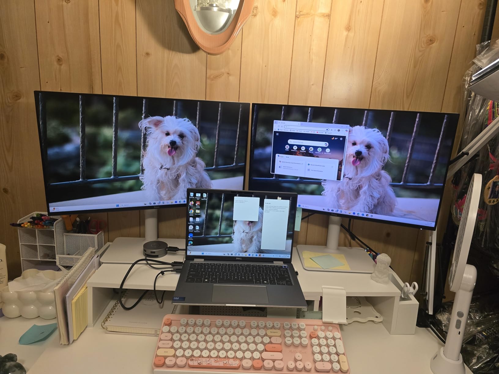 Dell S2425HS Monitor - 23.8 Inch, FHD (1920x1080) Display, 100Hz Refresh Rate 1500:1 Contrast Ratio, TÜV Rheinland Eye Comfort 4 Star, Integrated 2x5W Speaker, Height/Tilt/Swivel/Pivot - Ash White - Customer Photo 4