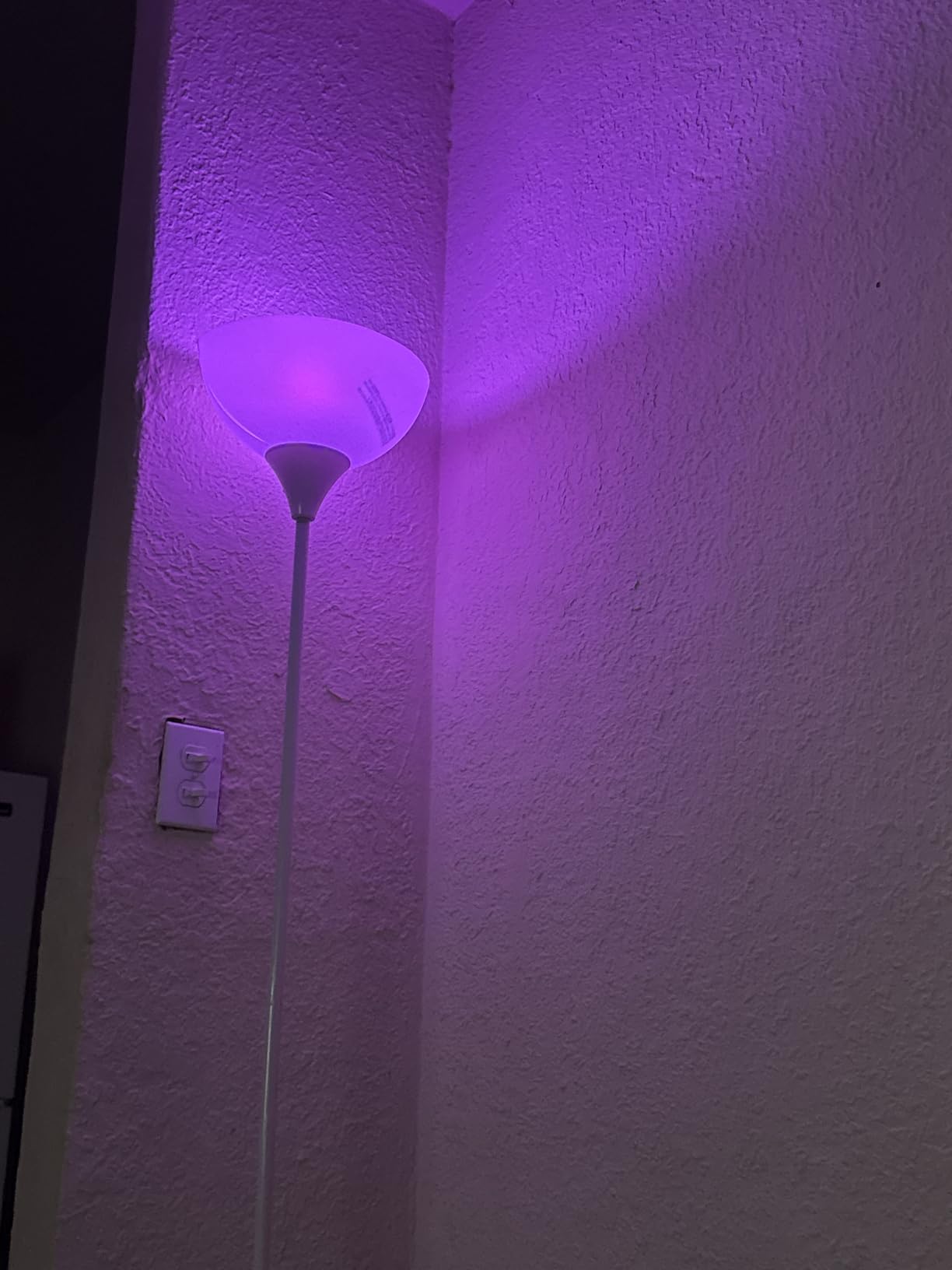 Lepro B1 AI Smart Light Bulbs - WiFi & Bluetooth RGBWW Color Changing LED Bulb Works with Alexa & Google Assistant, Personalized AI Lighting Designer, AI Voice Control, Music Sync, 2.4GHz Only, 2 Pack Customer Review Lepro B1 AI Smart Light Bulbs - WiFi & Bluetooth RGBWW Color Changing LED Bulb Works with Alexa & Google Assistant, Personalized AI Lighting Designer, AI Voice Control, Music Sync, 2.4GHz Only, 2 Pack - Customer Photo 1