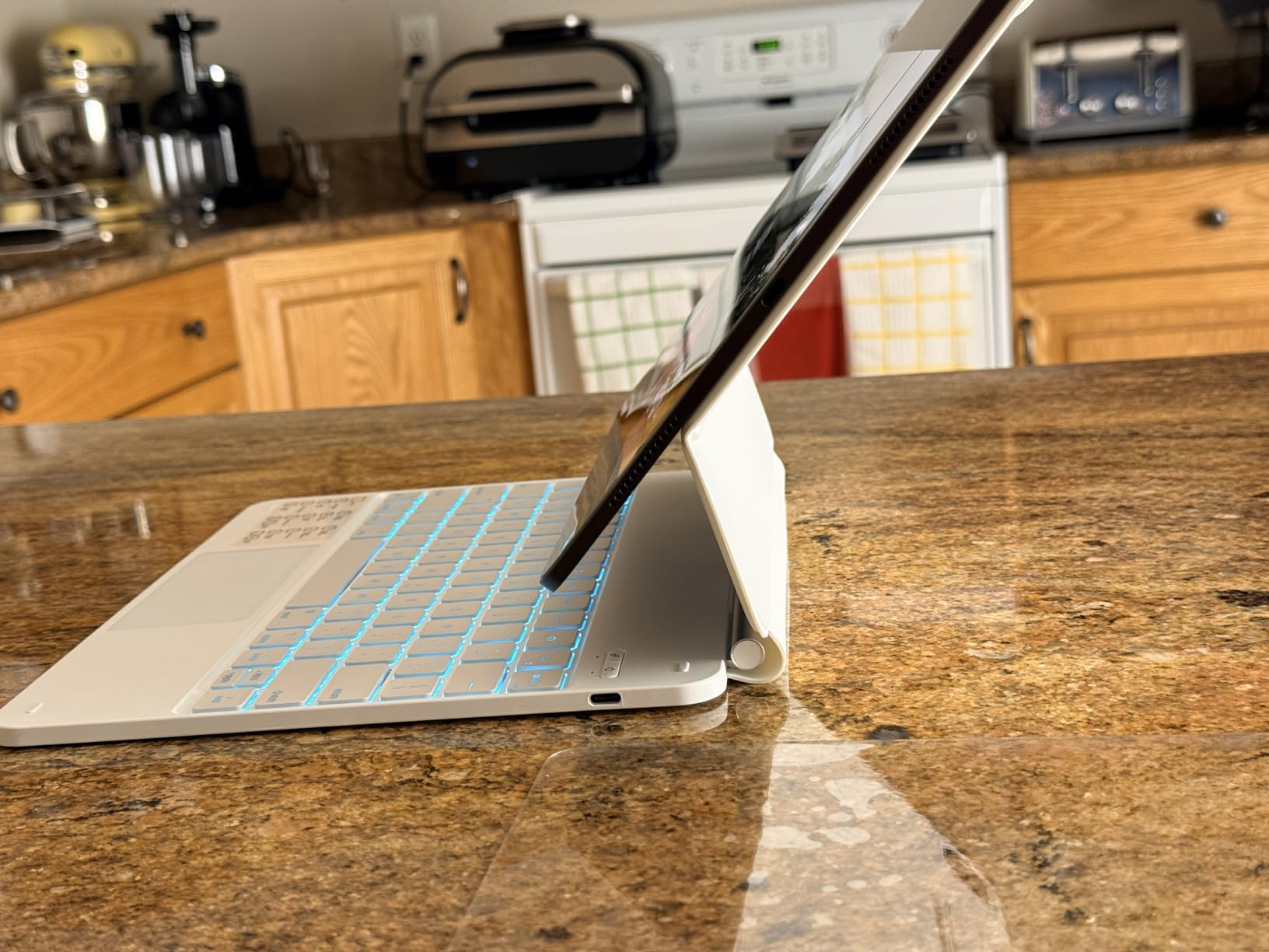 iPad Pro 13-Inch (M4): Built for Apple Intelligence, Ultra Retina XDR Display, 512GB, 12MP Front/Back Camera, LiDAR Scanner, Wi-Fi 6E + 5G Cellular, All-Day Battery Life — Space Black - Customer Photo 4