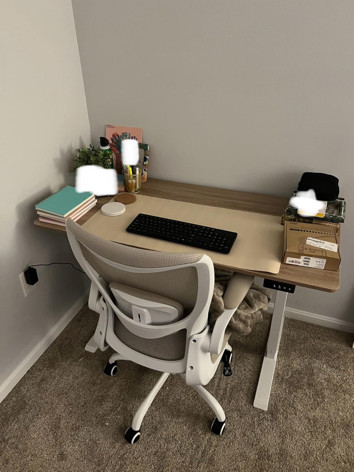 TIQLAB Height Adjustable Electric Standing Desk, 47.2 x 23.6 inch, Sit Stand Up Desk, Splice Board, Computer Home Office Desk, White Frame/Maple Top - Customer Photo 2