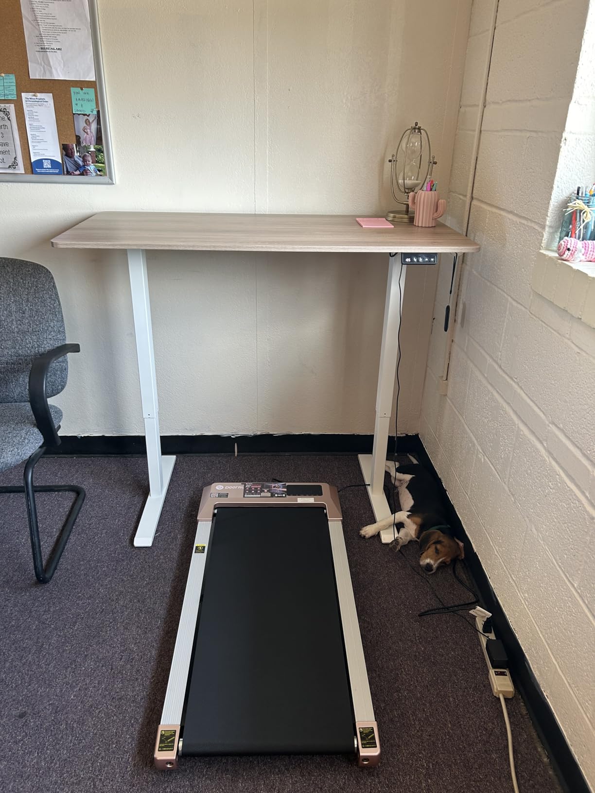 TIQLAB Height Adjustable Electric Standing Desk, 47.2 x 23.6 inch, Sit Stand Up Desk, Splice Board, Computer Home Office Desk, White Frame/Maple Top - Customer Photo 5