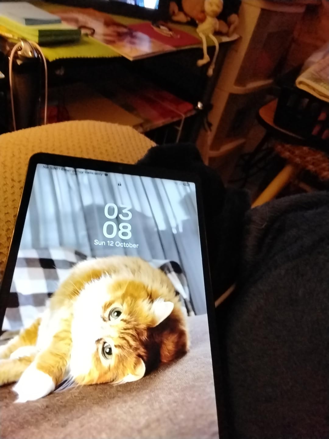 Galaxy Tab A9 4G LTE (64GB, 4GB, Cellular) 8.7