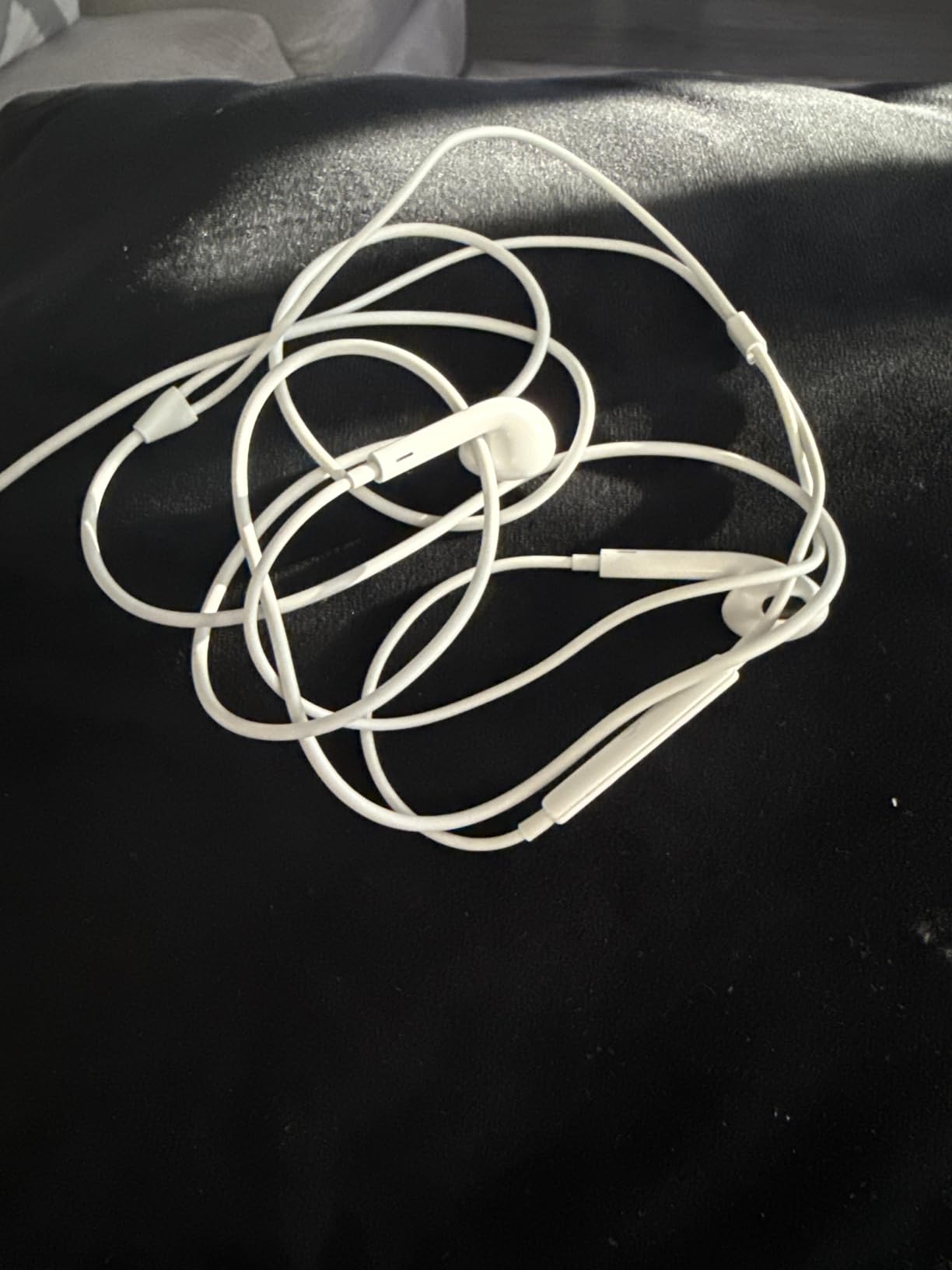 Apple EarPods Headphones with Lightning Connector, Wired Ear Buds for iPhone with Built-in Remote to Control Music, Phone Calls, and Volume Customer Review Apple EarPods Headphones with Lightning Connector, Wired Ear Buds for iPhone with Built-in Remote to Control Music, Phone Calls, and Volume - Customer Photo 1