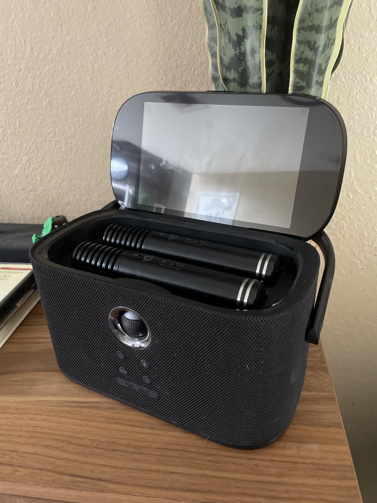 Ikarao Portable Karaoke Machine for Adults, Built-in Lyrics Display and Screen, 2 Self-Charging Wireless Microphones, Karaoke App, 140W Speaker, Connects to TV customer photo 1