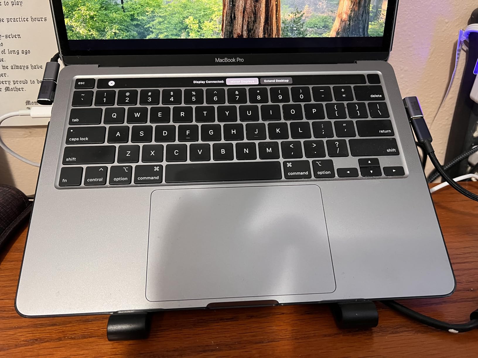 BESIGN LS01 Pro Ergonomic Laptop Stand, Plastic Laptop Riser, Portable and Adjustable Notebook Computer Holder Compatible with 10-14
