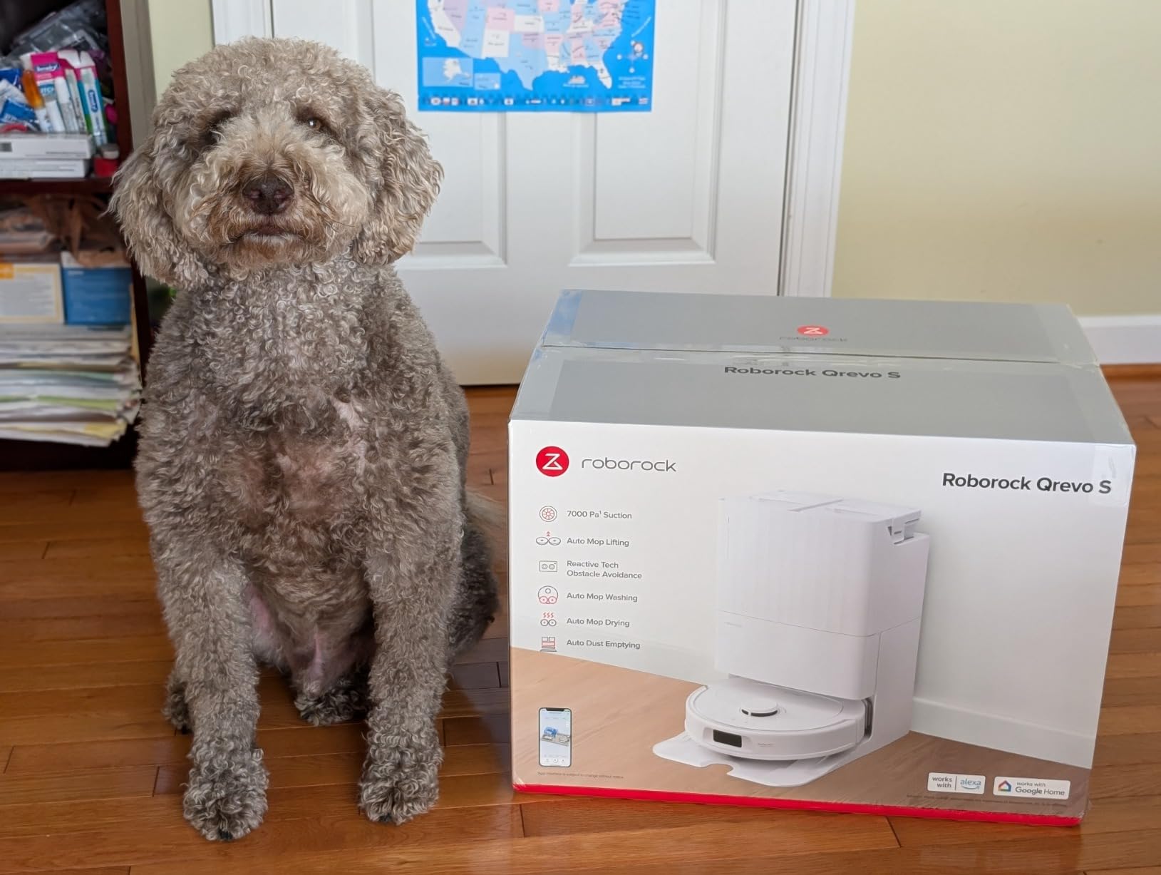 Roborock Qrevo Series Robot Vacuum and Mop, 8000Pa Suction, Anti-Tangle Brushes, Smart Obstacle Avoidance, Auto Mop Washing, All-in-One Dock, 200RPM Spinning Mops, Black (QV 35A) customer photo 2