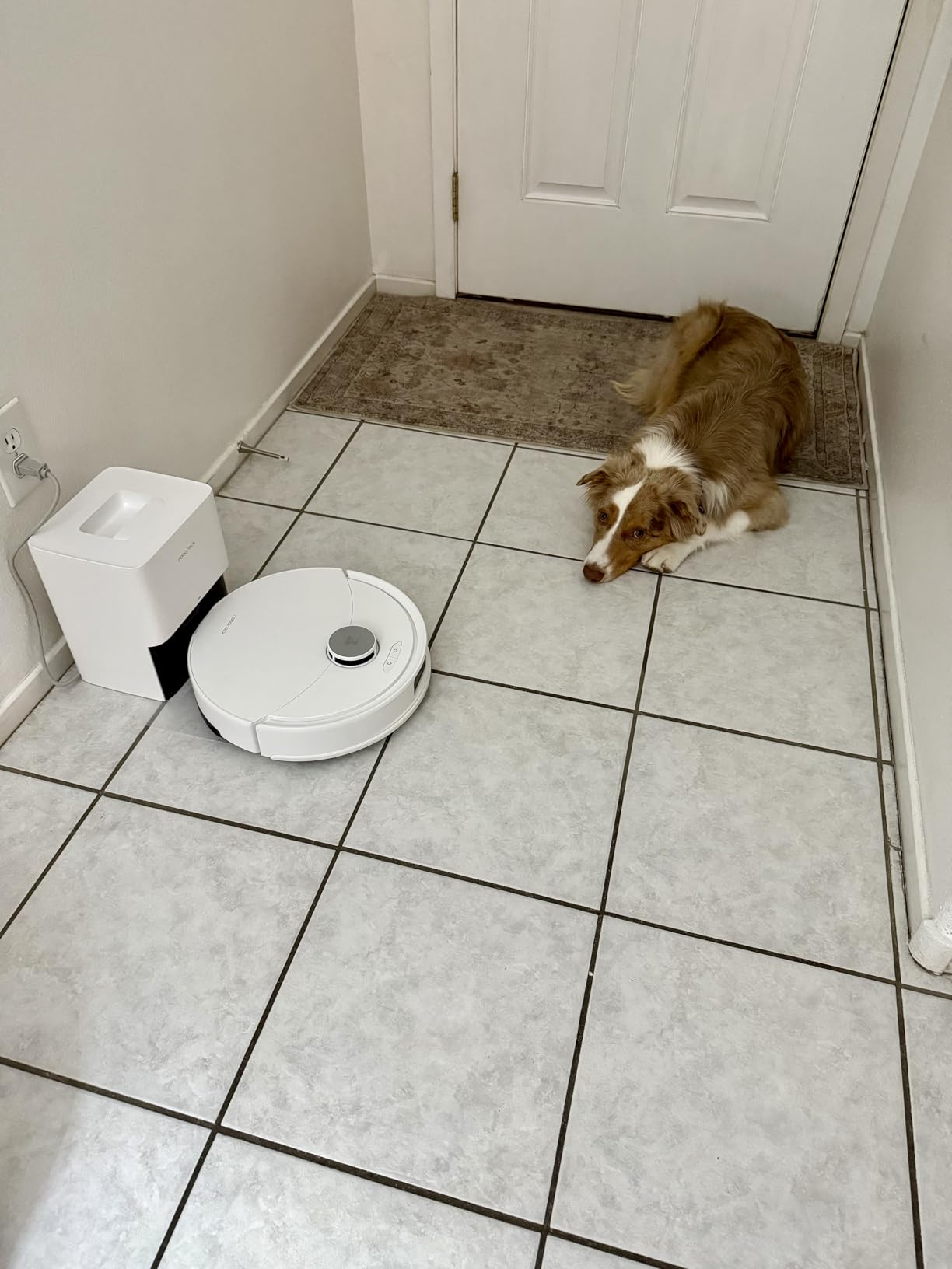 roborock Q10 X5+ Robot Vacuum and Mop Combo, Self-Emptying, 10,000Pa Suction, Obstacle Avoidance, LiDAR Navigation, Hands-Free Cleaning, No-Go Zones, Perfect for Carpet and Pet Hair, White - Customer Photo 1