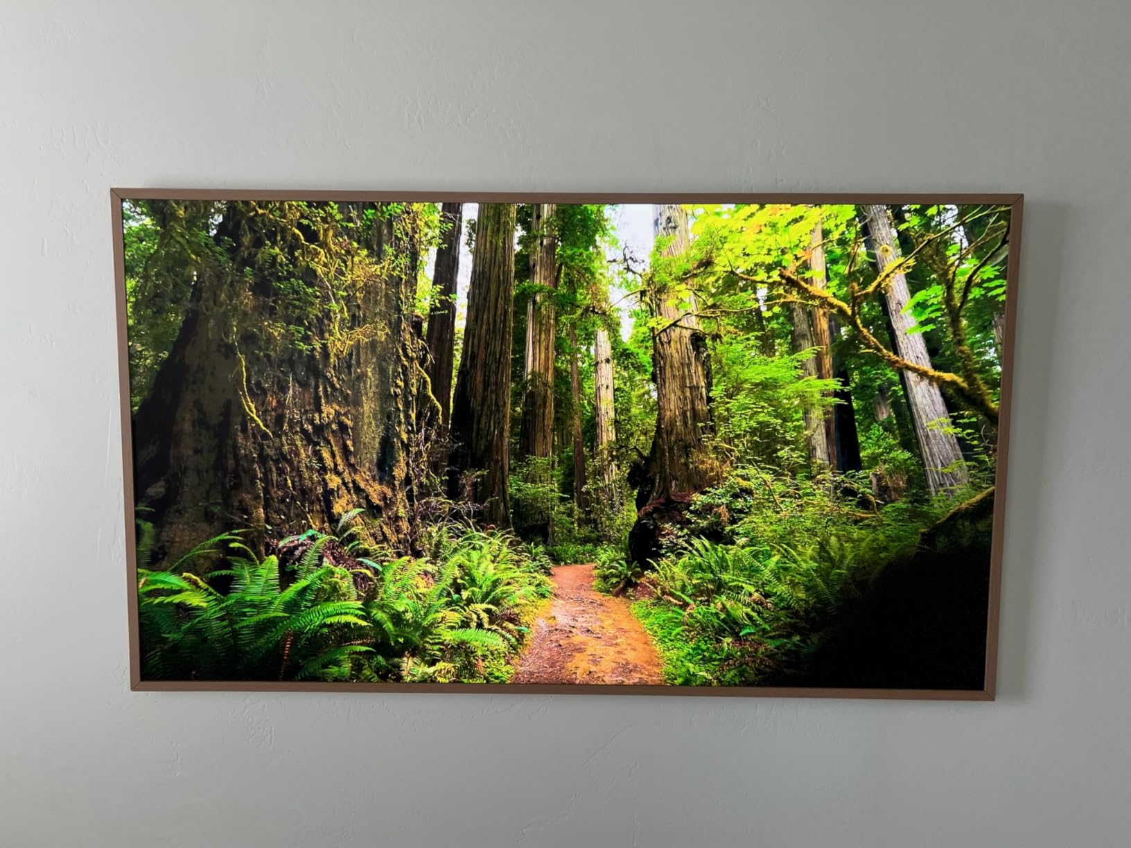 Samsung 43-Inch Class The Frame LS03F 4K QLED Smart TV (2025 Model) Slim Fit Wall Mount, Modern Frame Design, NQ4 AI Gen2 Processor, Art Mode, Artful Picture Quality, Samsung Vision AI, Alexa Built-in Customer Review Samsung 43-Inch Class The Frame LS03F 4K QLED Smart TV (2025 Model) Slim Fit Wall Mount, Modern Frame Design, NQ4 AI Gen2 Processor, Art Mode, Artful Picture Quality, Samsung Vision AI, Alexa Built-in - Customer Photo 2