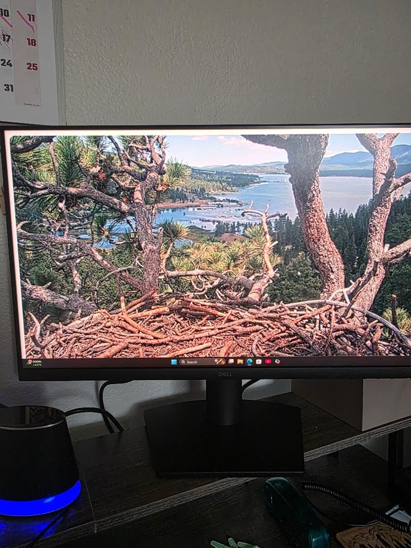 Dell 24 Monitor - SE2425HM - 23.8-inch Full HD (1920x1080) 16:9 100Hz Display, IPS Panel, 16.70 Million Colors, Anti-Glare, 1 HDMI / 1 VGA Port, TÜV Rheinland 3-Star*, Comfortview Plus - Black - Customer Photo 2