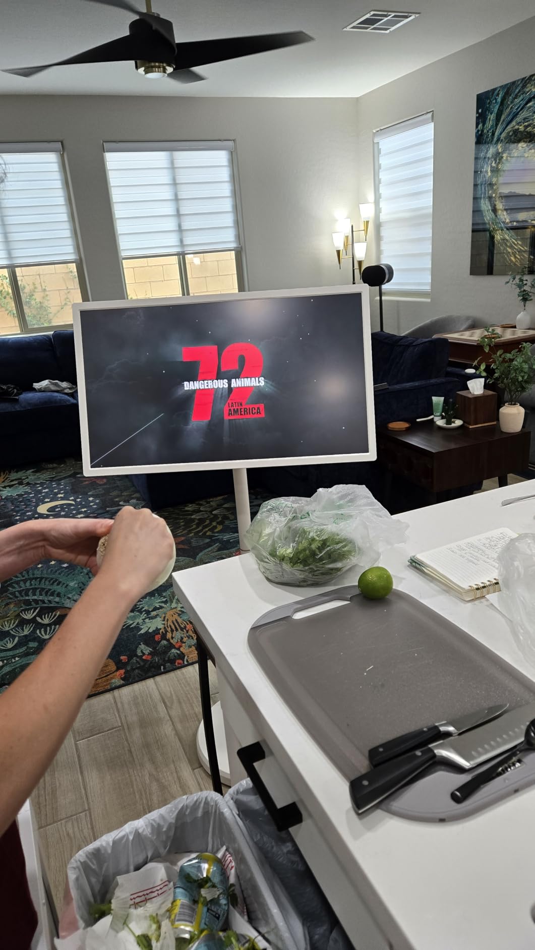 ApoloSign 32 Inch FHD Smart Portable TV 2nd Gen, 16(8+8) GB RAM+128GB, Android 14, EDLA-Certified, Rolling Tablet TV on Wheels, Built-in 15000mAh Battery, Full Swivel Rotation, Voice Remote Control - Customer Photo 4