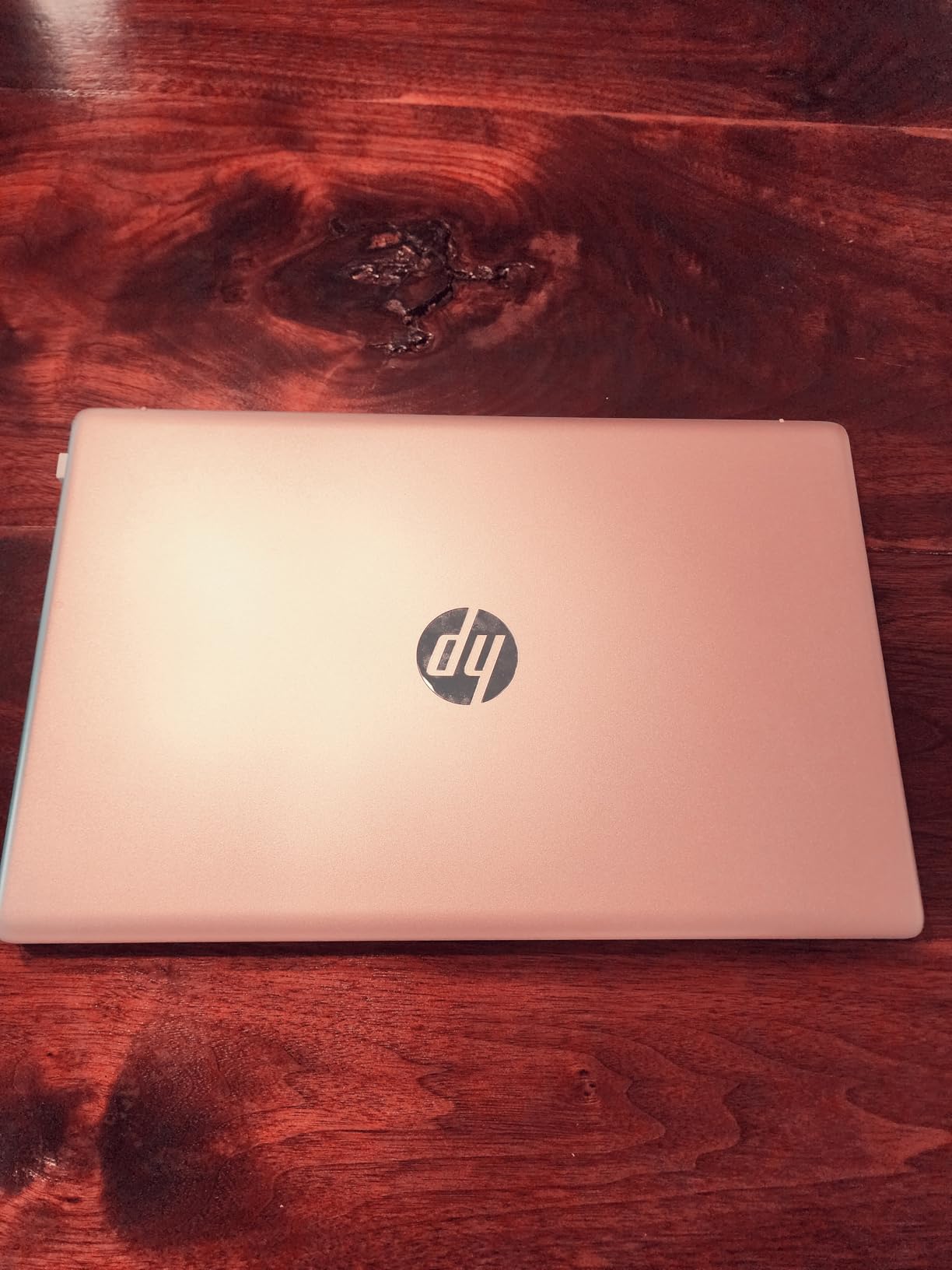 HP 17 Touchscreen Laptop PC, 17.3 Inch HD+ Touch Screen Business Laptop Computer, Intel Core i7, Windows 11 Pro, 64GB RAM 2TB SSD+512GB Docking Set,Lifetime Office,10 Key|Backlit|Fingerprint,Rose Gold Customer Review HP 17 Touchscreen Laptop PC, 17.3 Inch HD+ Touch Screen Business Laptop Computer, Intel Core i7, Windows 11 Pro, 64GB RAM 2TB SSD+512GB Docking Set,Lifetime Office,10 Key|Backlit|Fingerprint,Rose Gold - Customer Photo 2