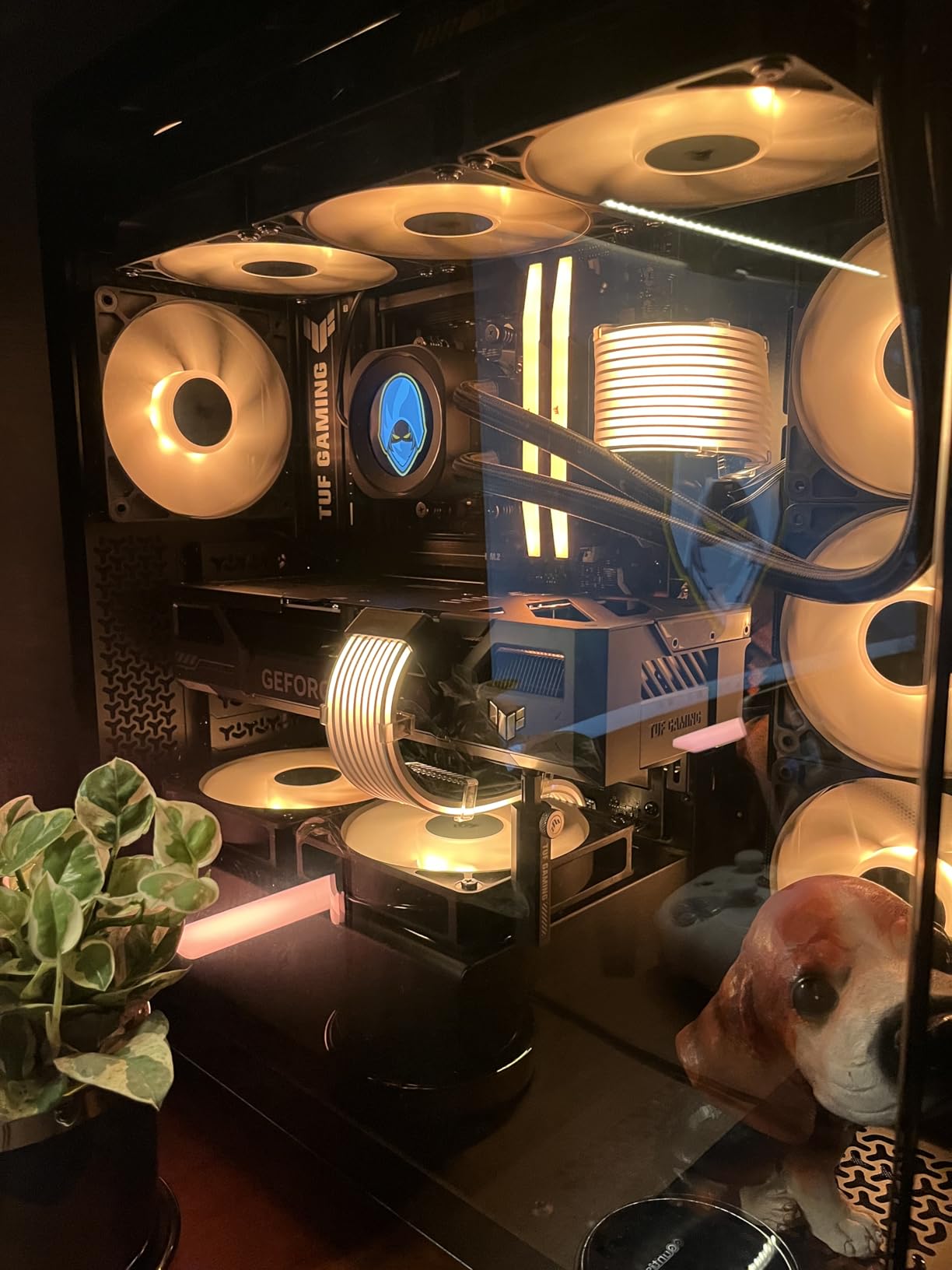 ASUS Dual GeForce RTX 5060 Ti 16GB GDDR7 OC Edition Gaming Graphics Card customer photo 2
