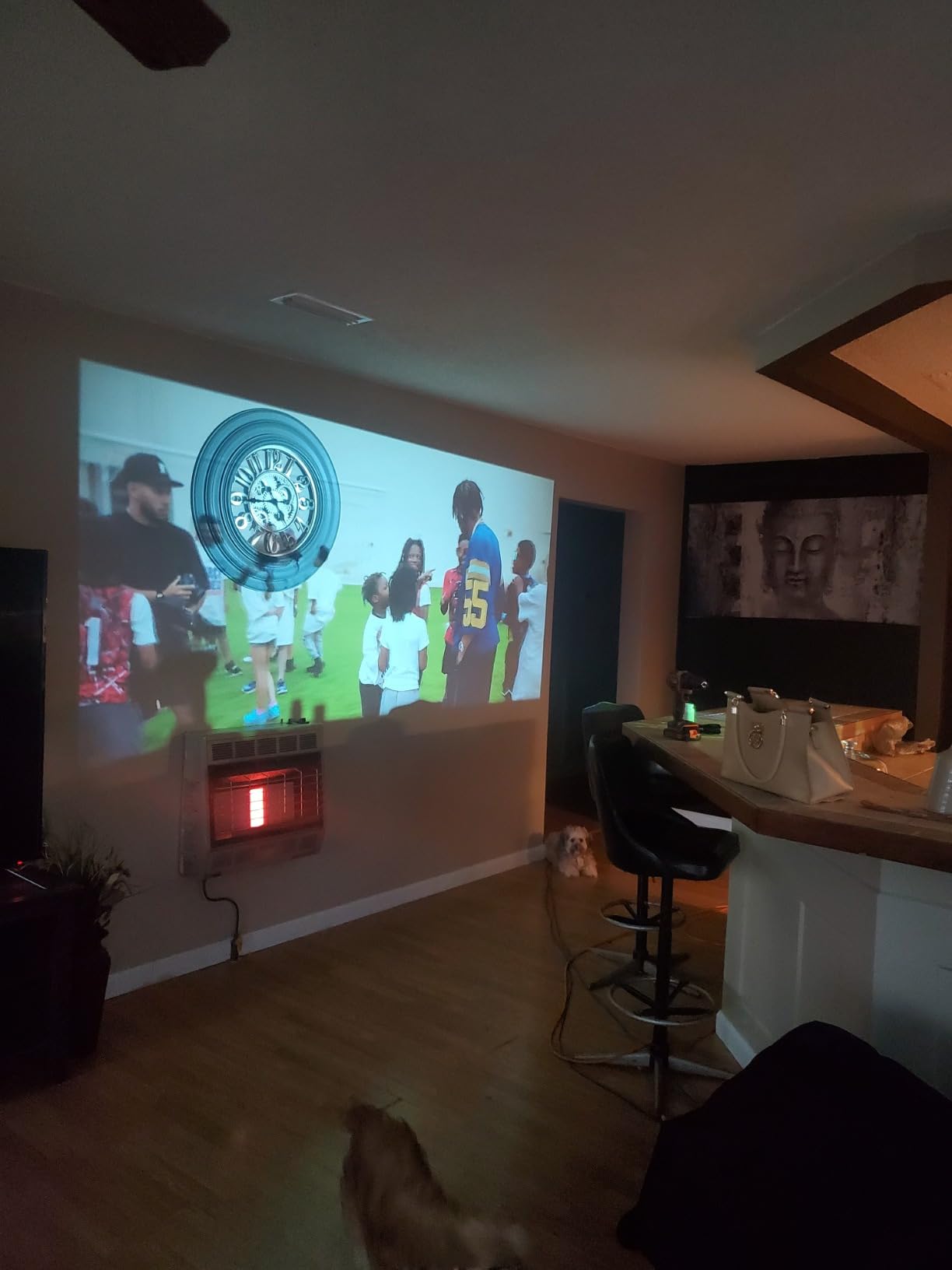 GooDee 4K Smart Projector with Netflix – WiFi & Bluetooth, 3000 ANSI UHD, ToF Auto Focus Keystone MEMC, Dolby Audio Home Theater Video Projector Built-in Apps for Indoor & Outdoor Movies, Gaming - Customer Photo 2