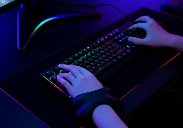 Best Gaming Wrist Rests [cy]: 8 Models Tested by Pro Gamers - FindingDulcinea