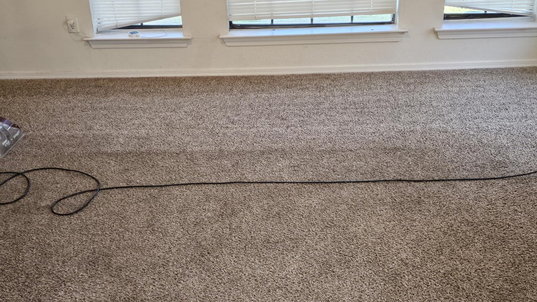 Hoover PowerScrub Deluxe Carpet Cleaner Machine, Deep Cleaning Carpet Shampooer Machine, SpinScrub Brushes, HeatForce Drying, Pet & Upholstery Tools, Pair with Hoover Carpet Cleaner Solution customer photo 2