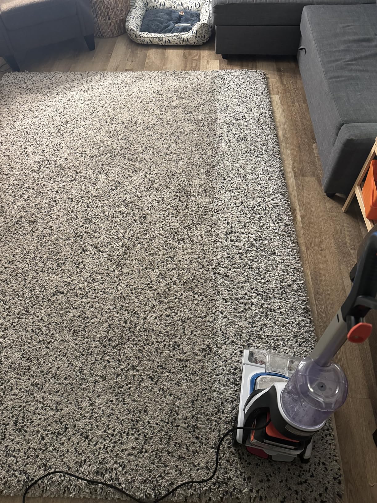 Hoover PowerDash Pet Compact Carpet Cleaner Machine, Lightweight Design, HeatForce Fast Drying, Antimicrobial Brush Roll, Pair with a Hoover Carpet Cleaner Solution customer photo 2