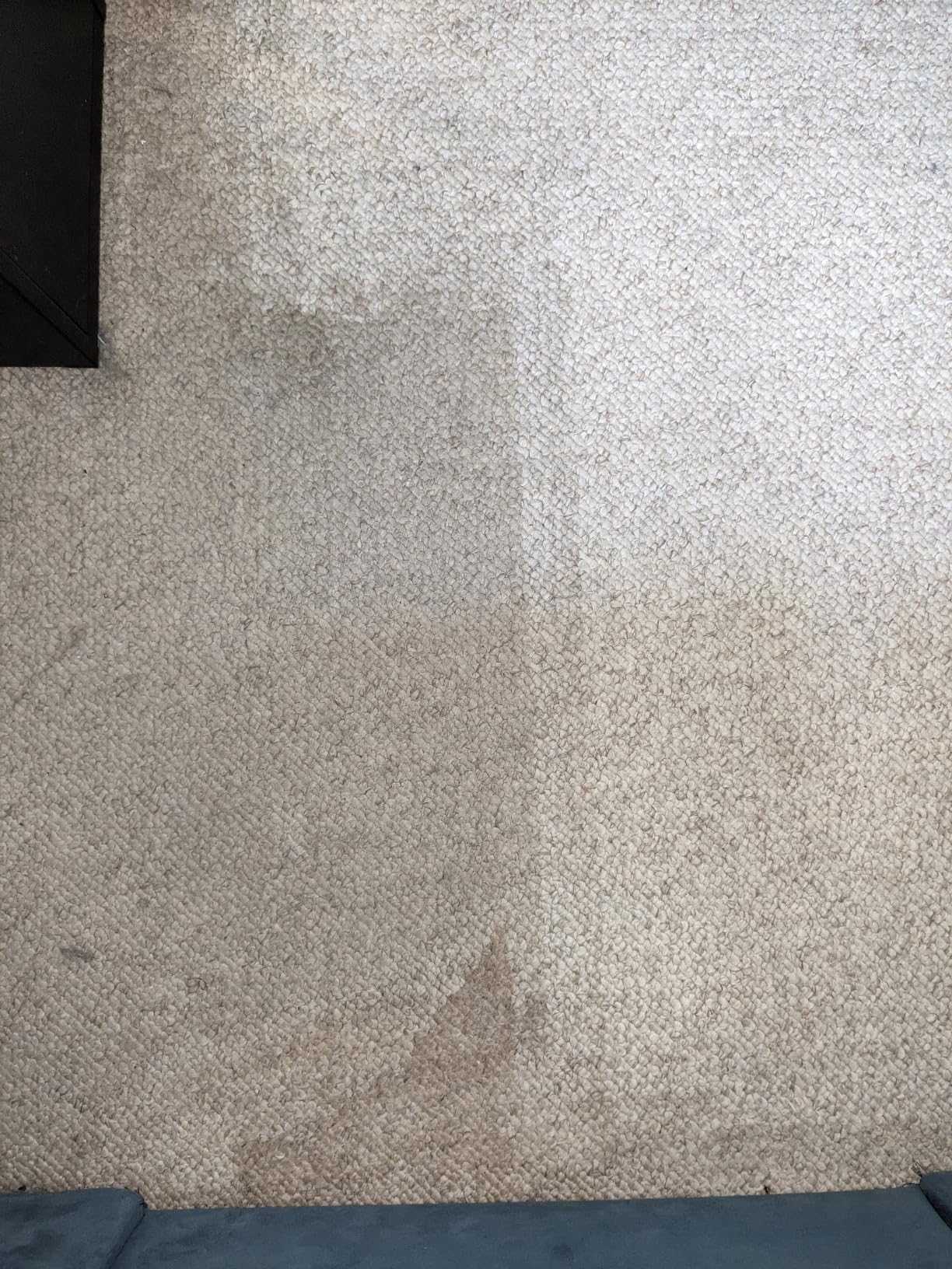 Hoover SmartWash+ Automatic Carpet Cleaner Machine for Carpet and Upholstery, Deep Cleaning Carpet Shampooer Machine, Pair with a Hoover Carpet Cleaner Solution for a Bright, Refreshed Home customer photo 1