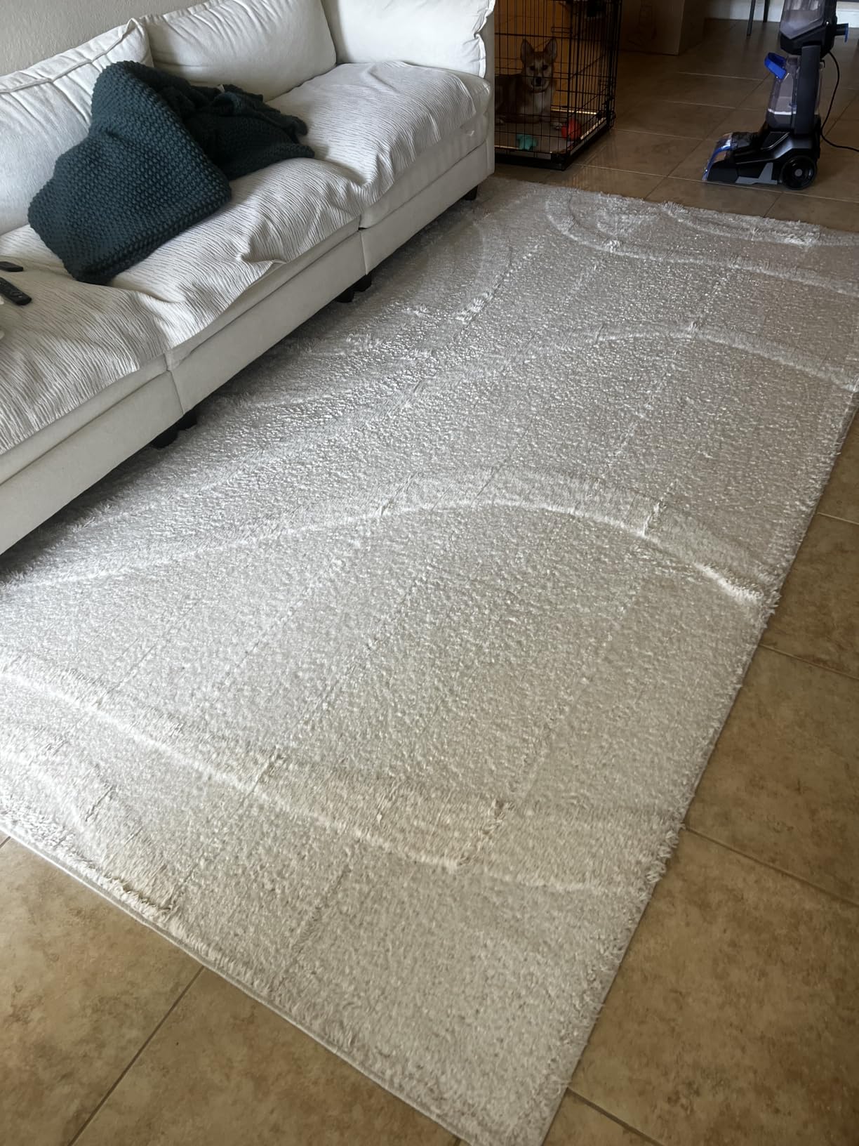 BISSELL TurboClean Pet XL Upright Carpet Cleaner, Upholstery Tough Stain Tool & Formula included, 3746 customer photo 2