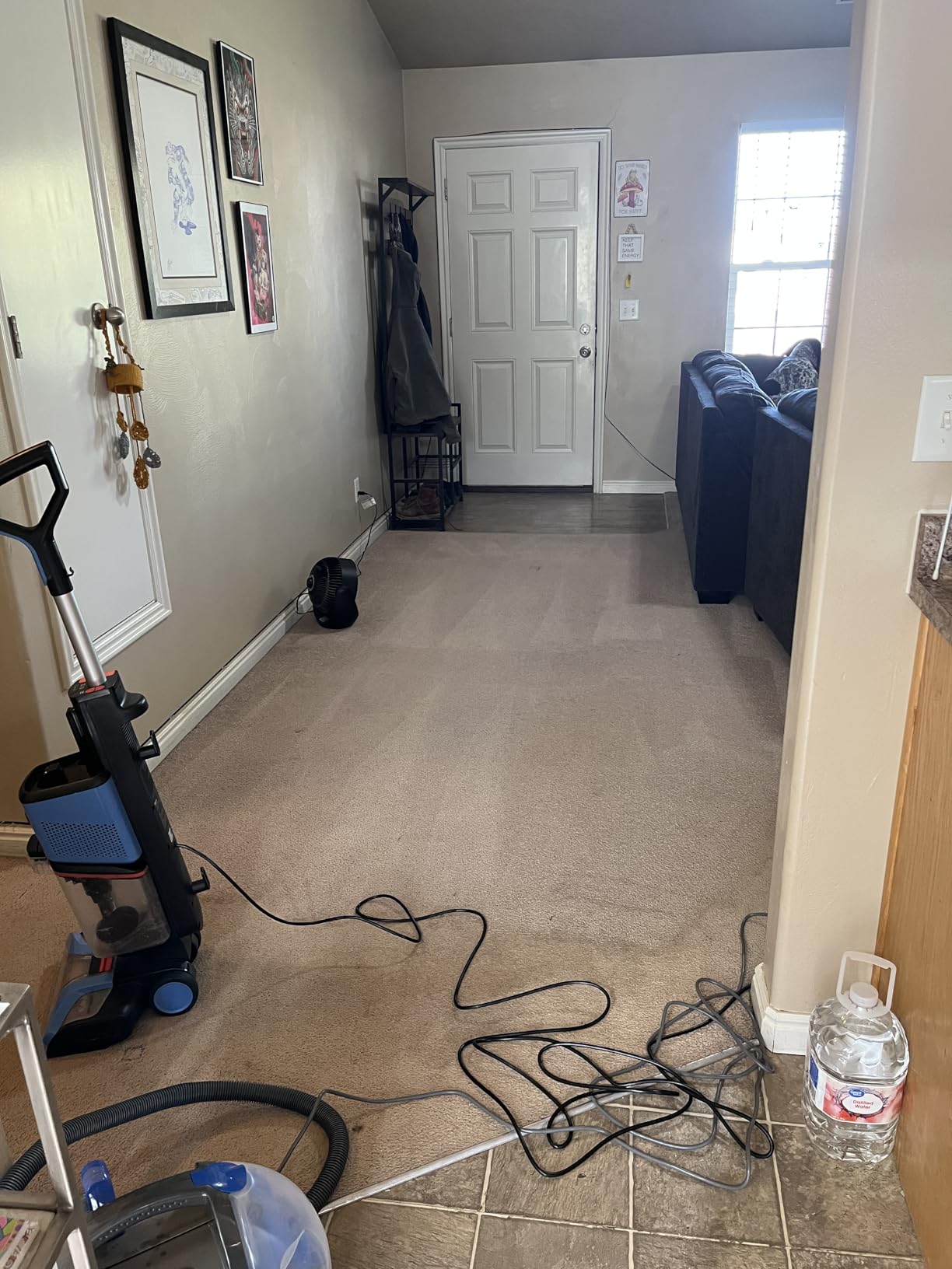 Shark CarpetXpert | Upright Carpet, Area Rug & Upholstery Cleaner | Carpet Shampooer with Handheld Spot & Stain Eliminator | 3 Cleaning Tools | Slate Green | EX151 customer photo 2