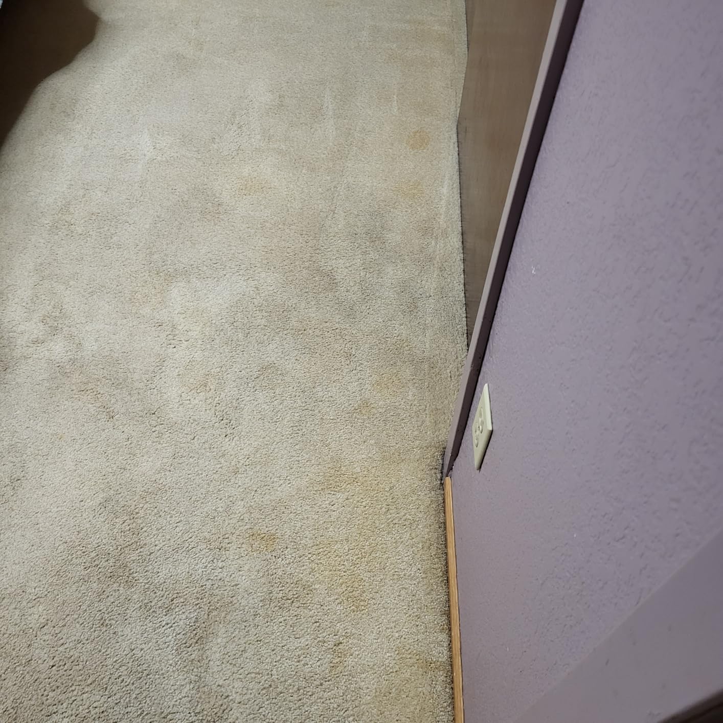BISSELL TurboClean, Upright Carpet Cleaner, Pro Max Clean & Protect + Oxy Urine Eliminator Formula Included, 3952 customer photo 1