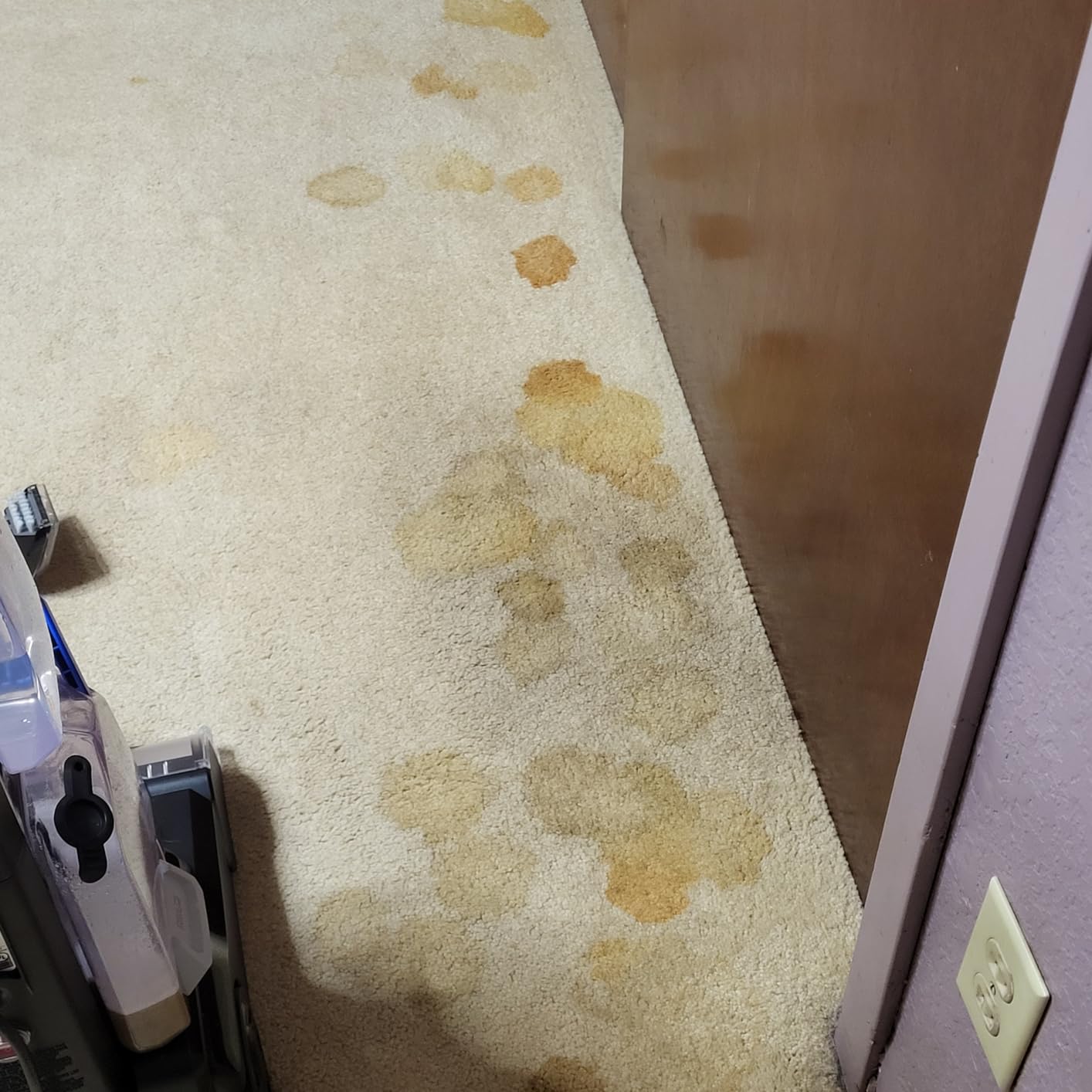 BISSELL TurboClean, Upright Carpet Cleaner, Pro Max Clean & Protect + Oxy Urine Eliminator Formula Included, 3952 customer photo 2