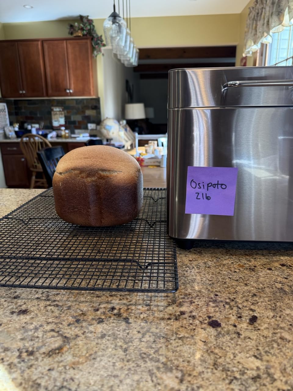 2LB Bread Maker Machine, OSIPOTO 17 in 1 Automatic Stainless Steel Bread Machine, Non-stick, Beginner-Friendly Controls, 15 Hour Timer, Easy to Clean Low Noise, High Success Rate for Homemade Bread - Customer Photo 3