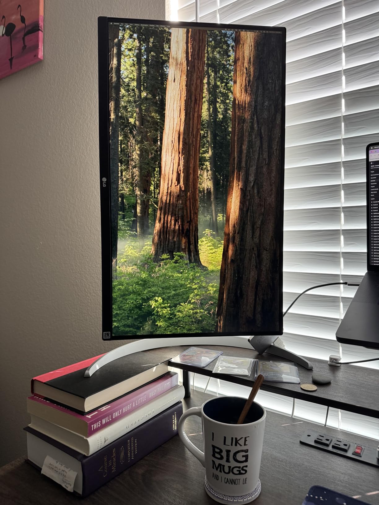 LG 27UP650K-W 27-inch Ultrafine 4K UHD (3840 x 2160) IPS Computer Monitor, 60Hz, 5ms, DisplayHDR 400, Reader Mode, Flicker Safe, HDMI, DisplayPort, Tilt/Height/Pivot Adjustable Stand, White customer photo 1